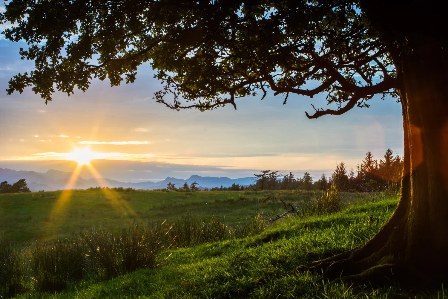 sunset_from_claife_heights.jpg
