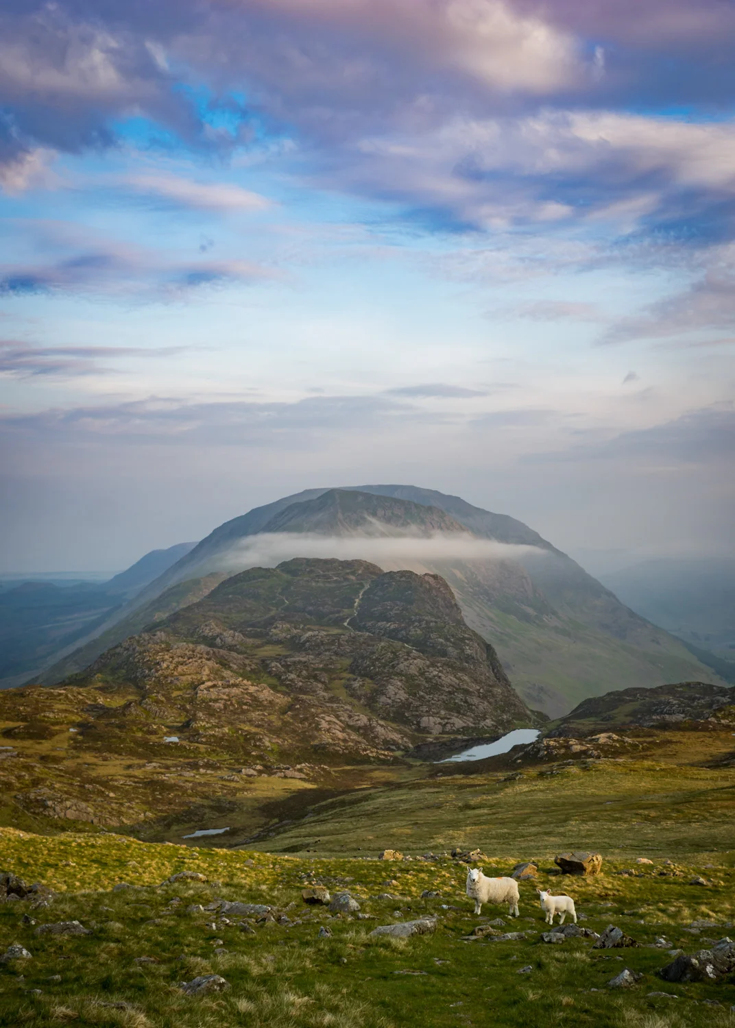 haystacks.jpg