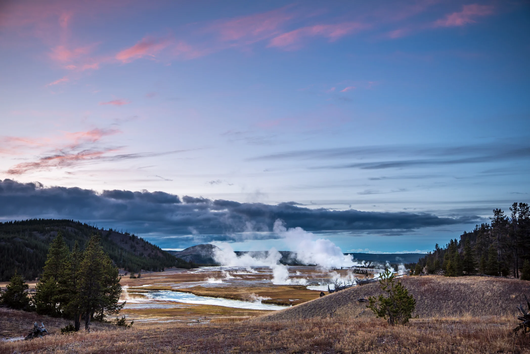 YELLOWSTONE FOREVER FILMS // WILDLIFE — Compass Coalition