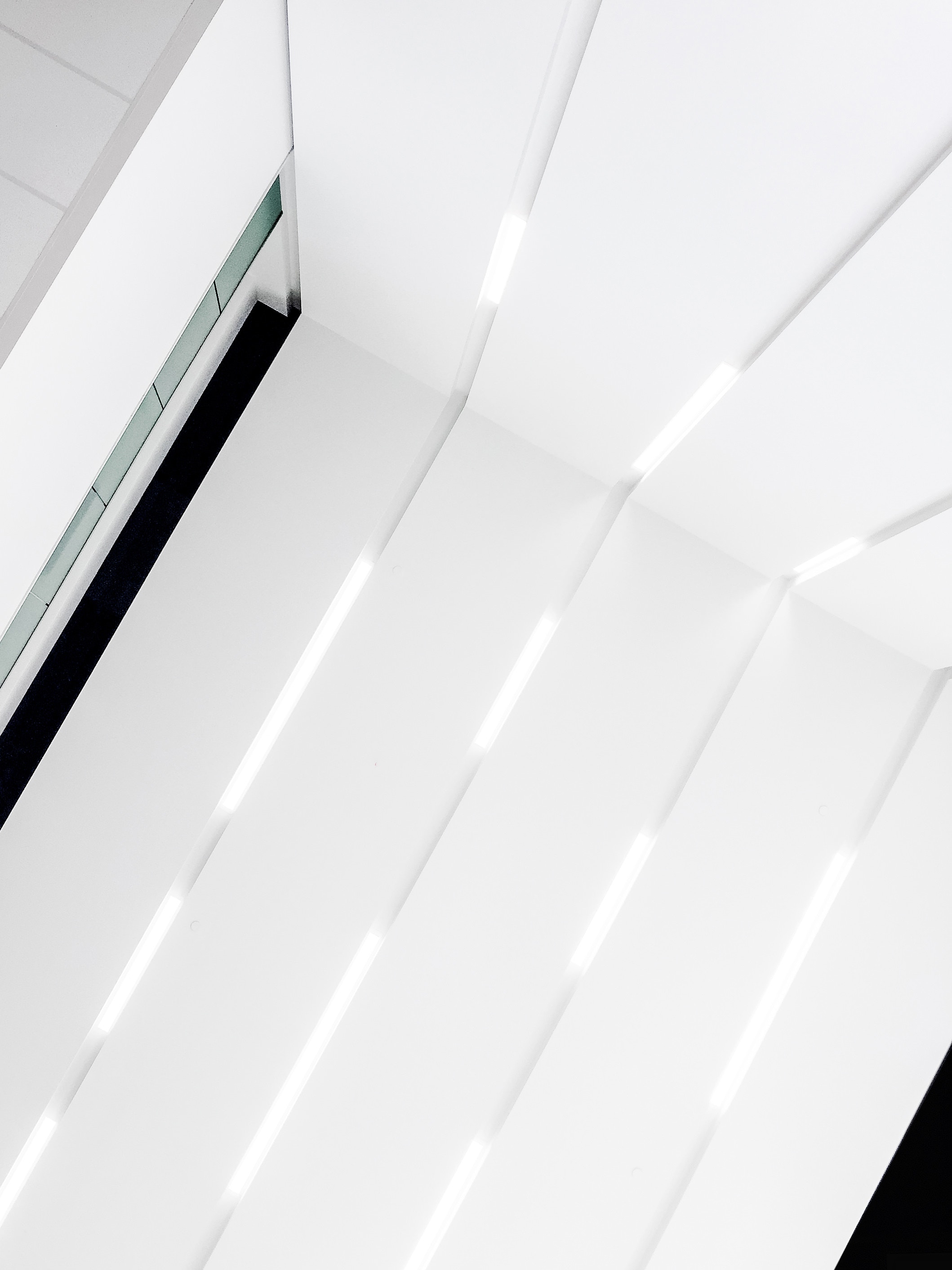 scott-webb-256976-unsplash 2.jpg