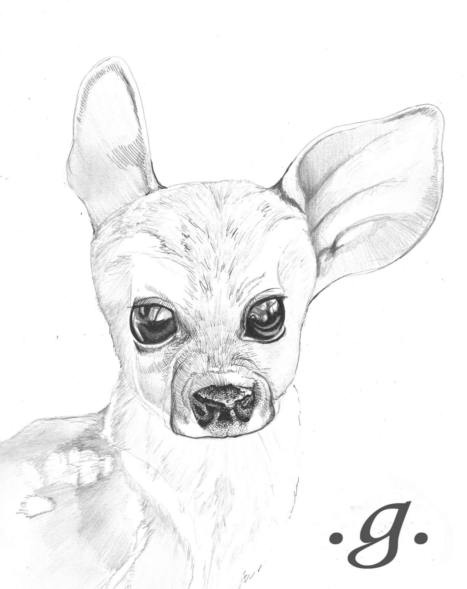 Deerdog.jpg