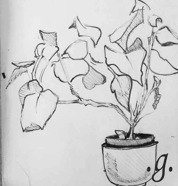 Planter.jpg
