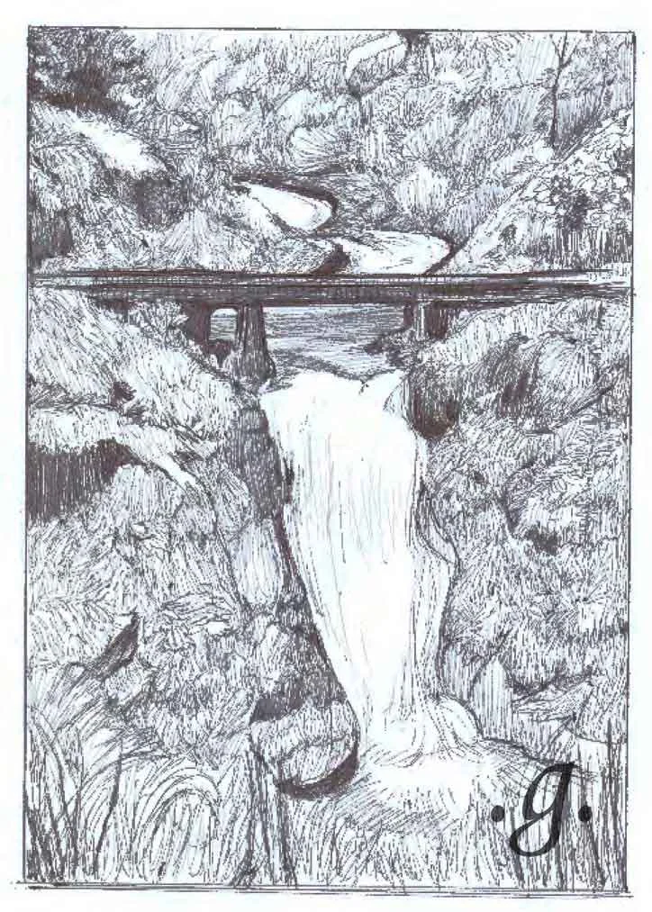 WaterFall.jpg