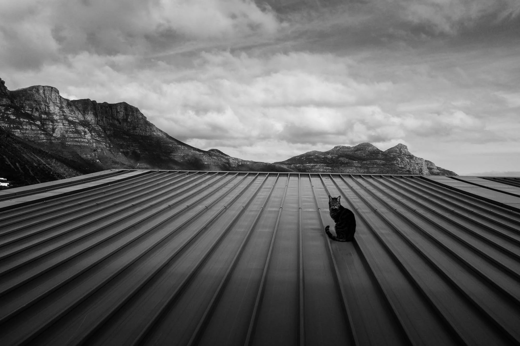 Hout Bay, 2014