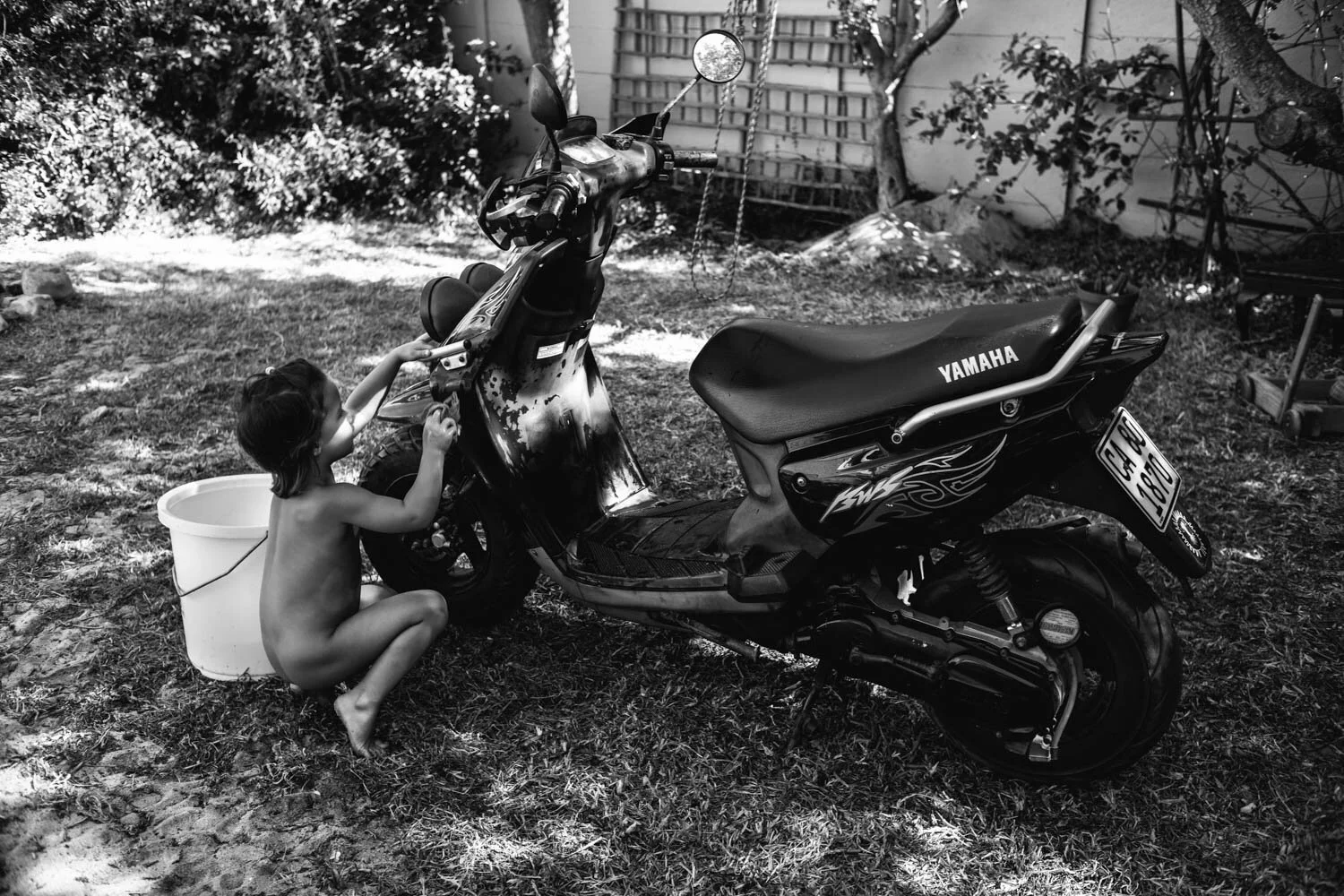 L1003355.jpg
