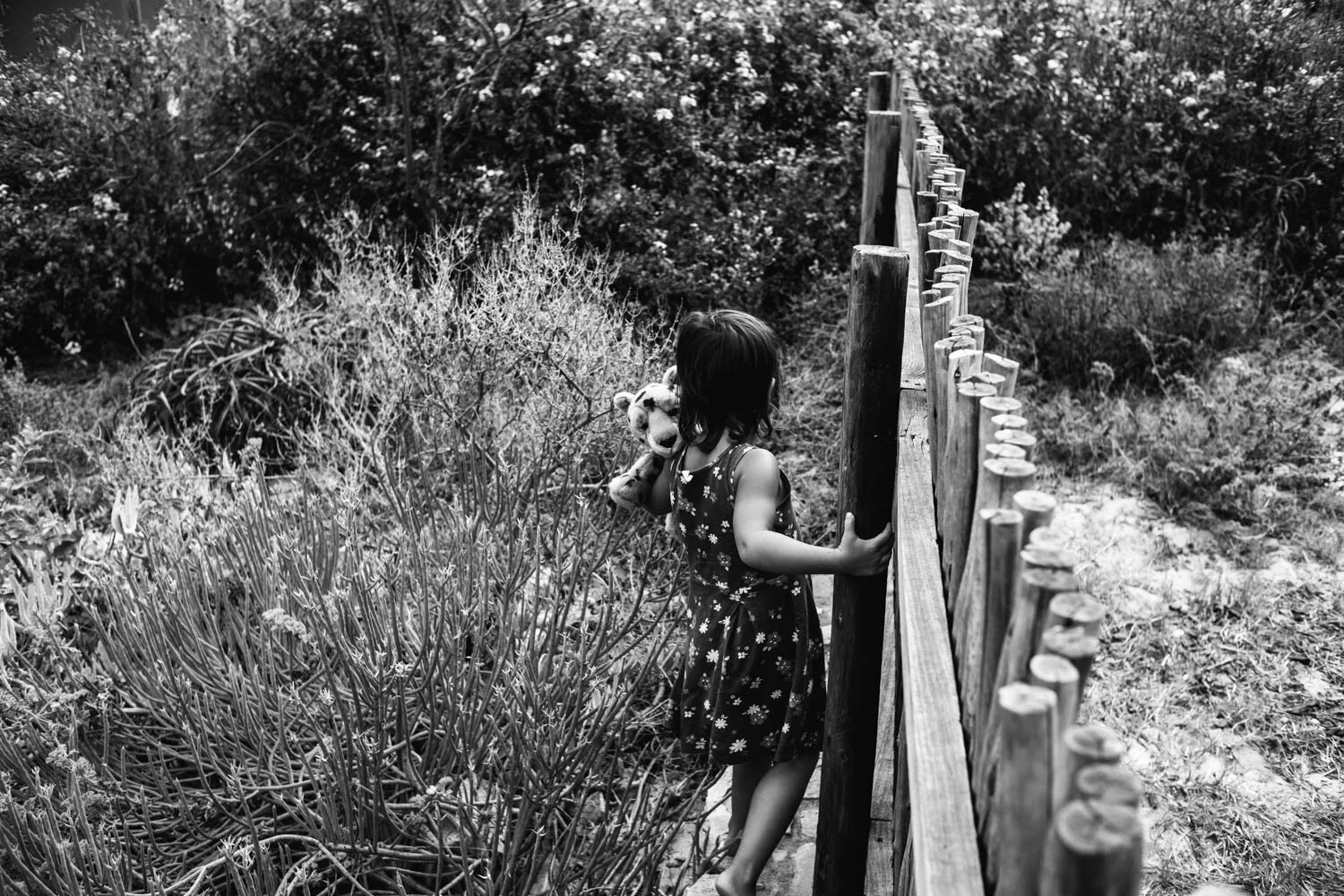 L1004767.jpg