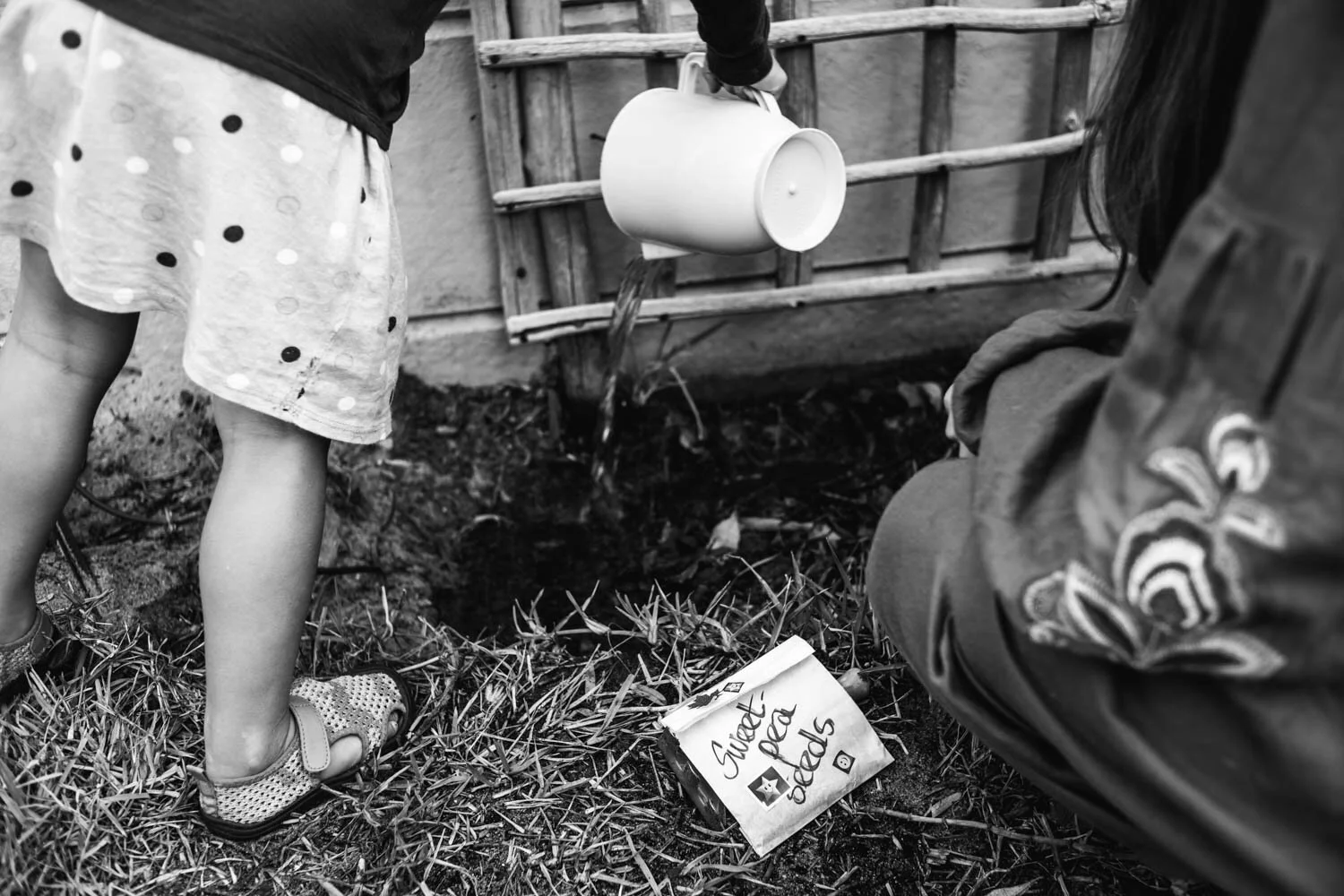 L1005567.jpg