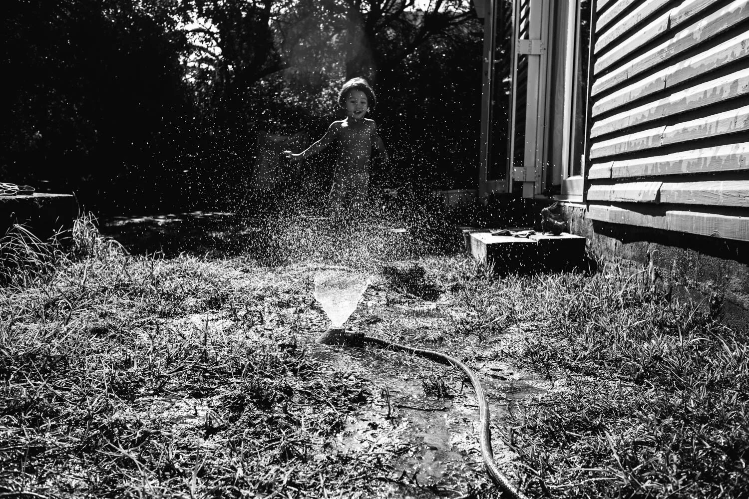L1007942.jpg