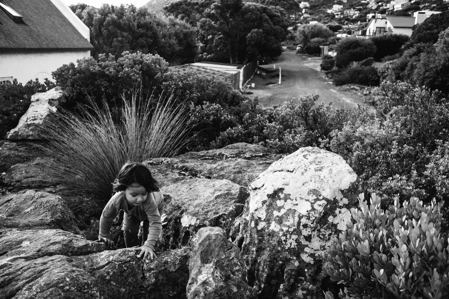 L1009436.jpg