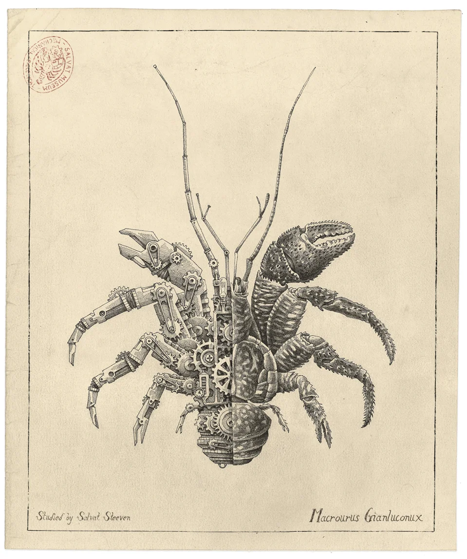 CRABE-COCO.jpg
