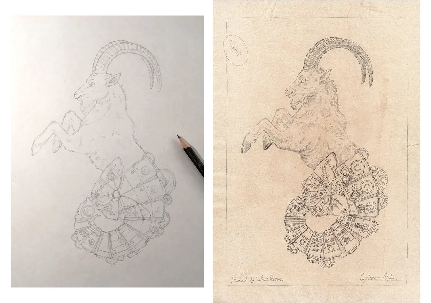 MECHANICAL-SEAGOAT-sketch-WEB.jpg