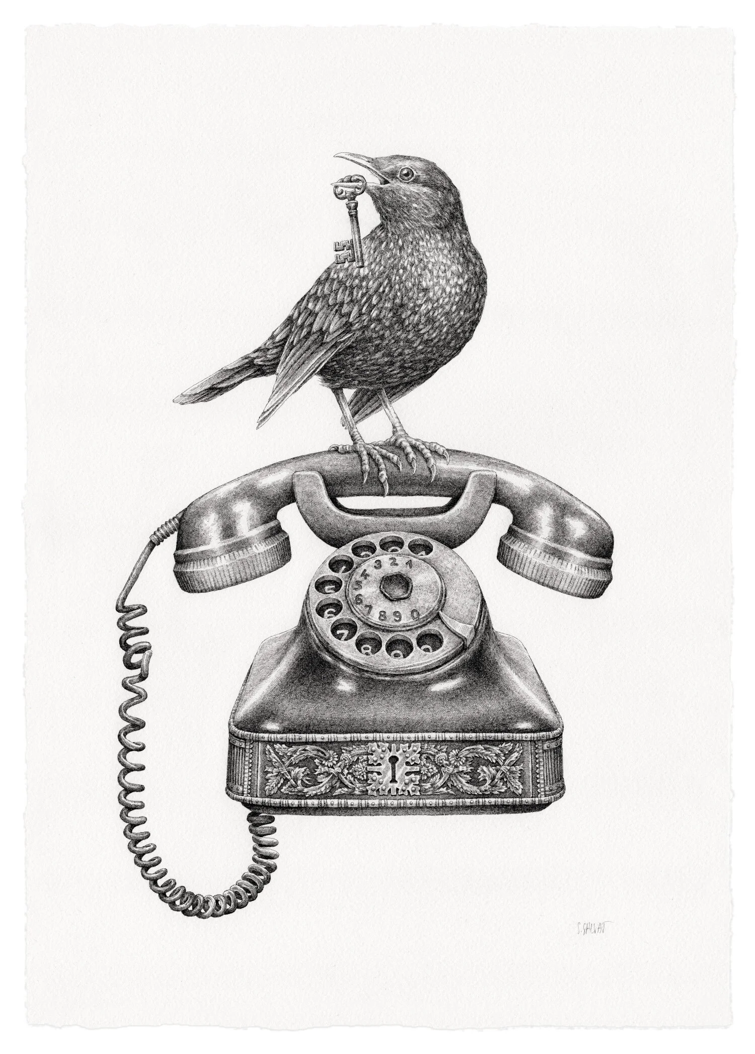Call-me_1500px.jpg