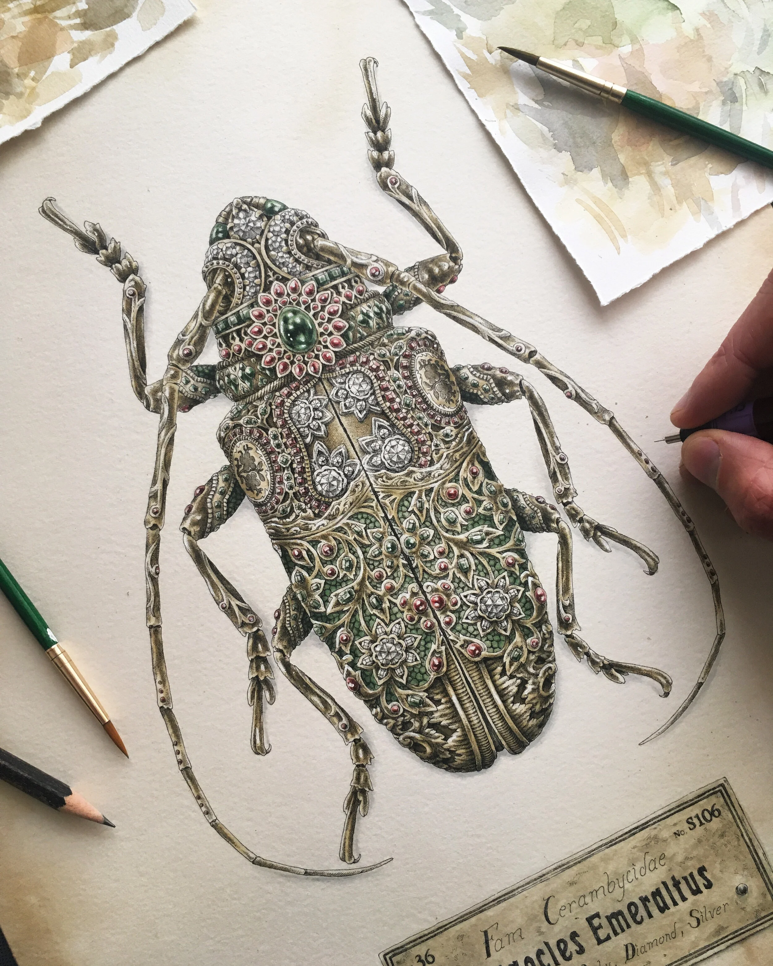 Loriaocles Emeraltus