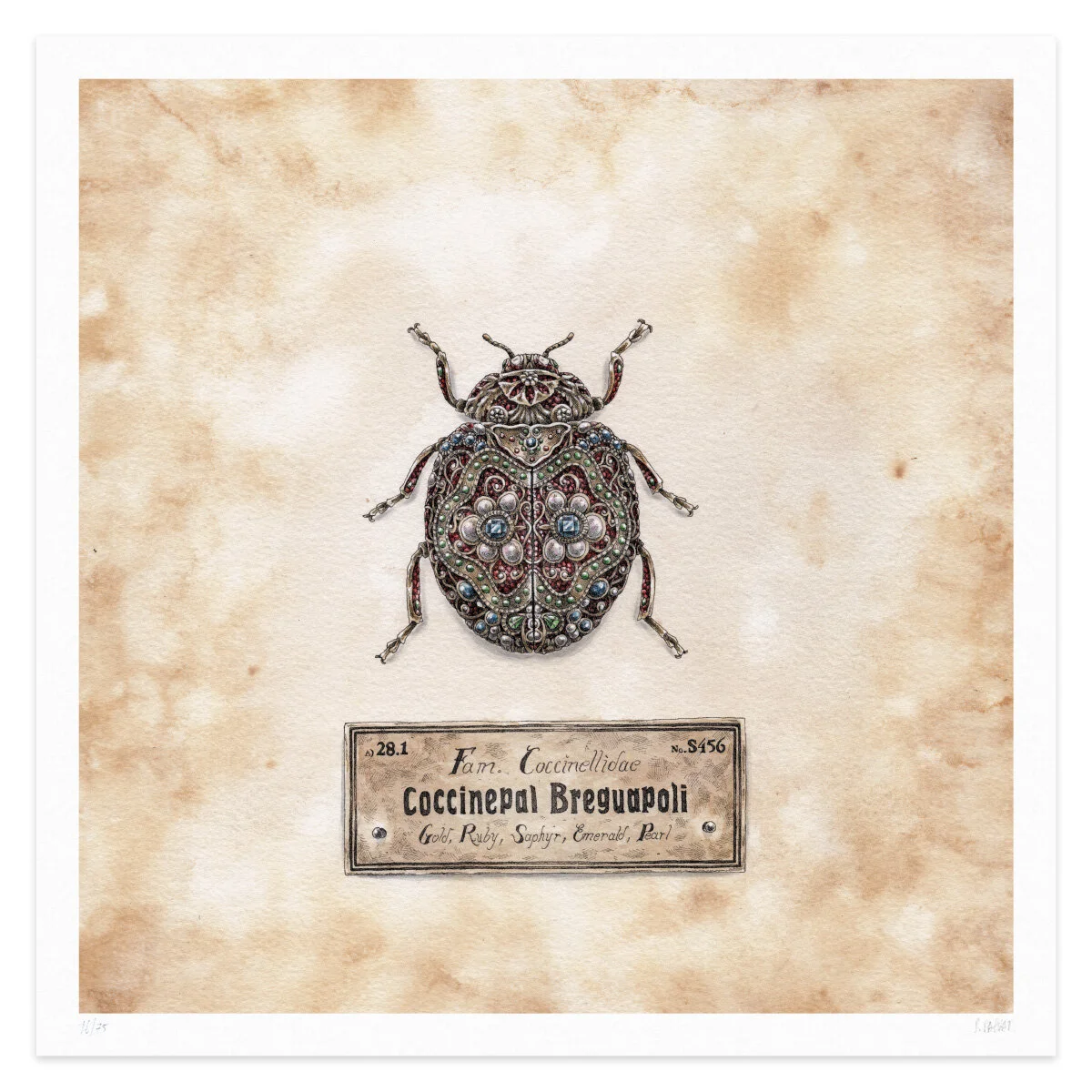 COCCINEPAL-BREGUAPOLI-MEAb.jpg