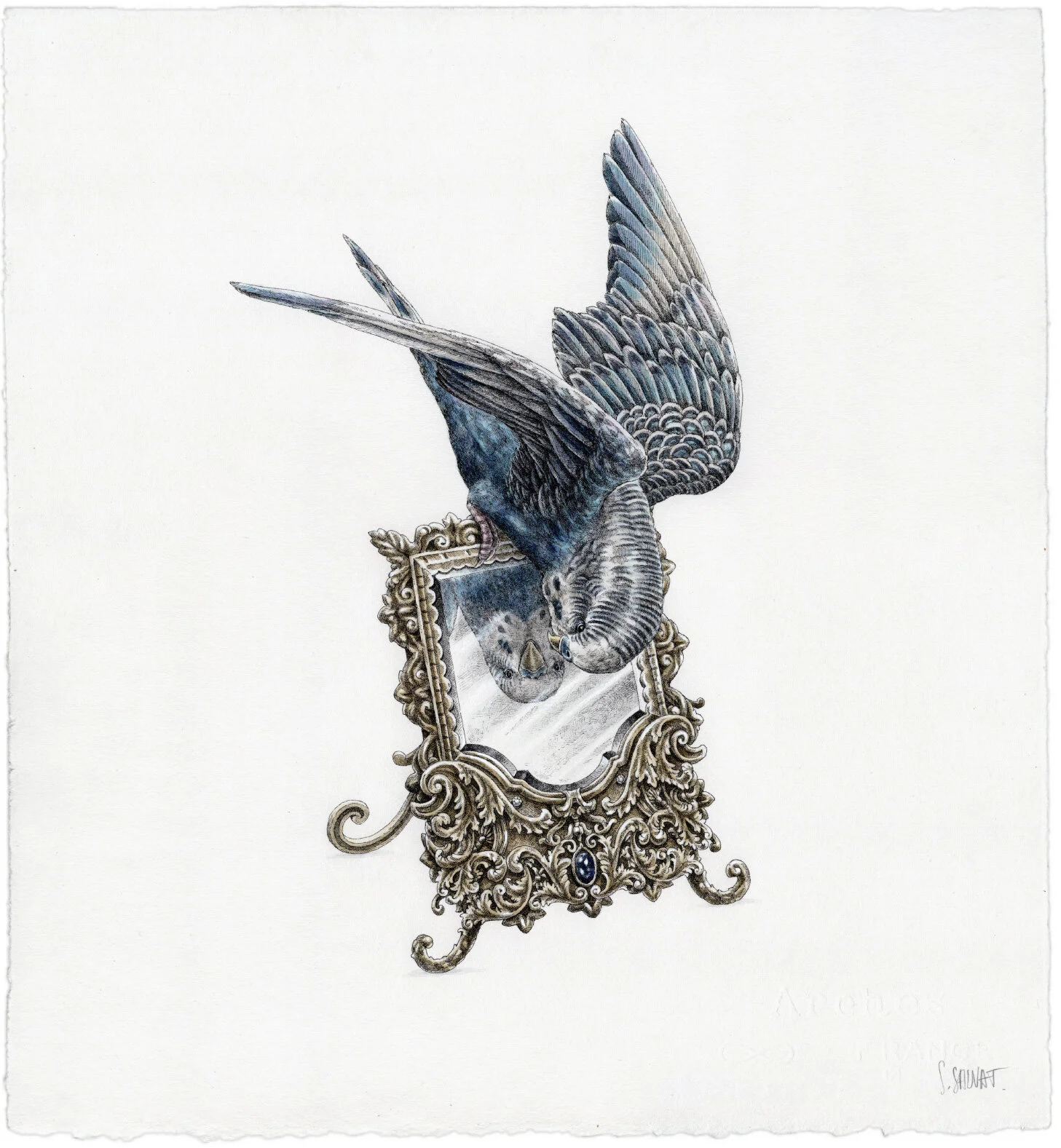 Steeven-Salvat,-Reflet-de-perruche,-2020,-Aquarelle-et-encre-de-Chine-sur-papier-300g-ARCHES-à-bords-frangés,-32x35cm,-courtesy-of-the-artist_72DPI.jpg