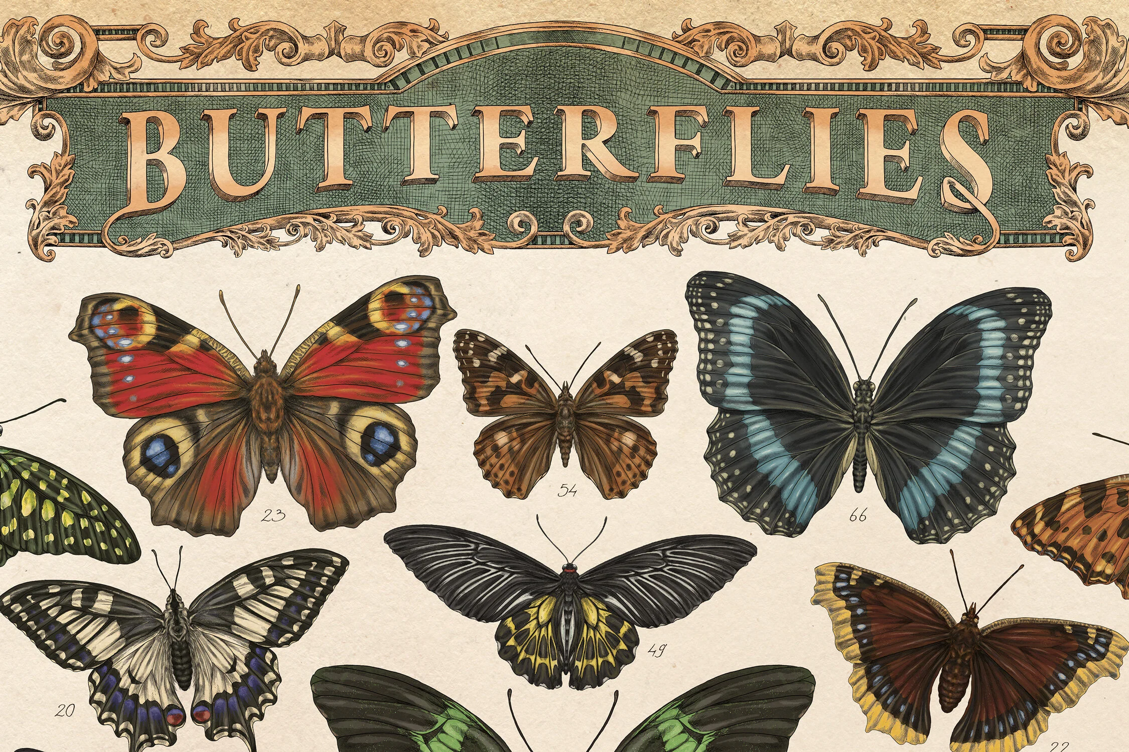 MEAall_BUTTERFLIES1.jpg