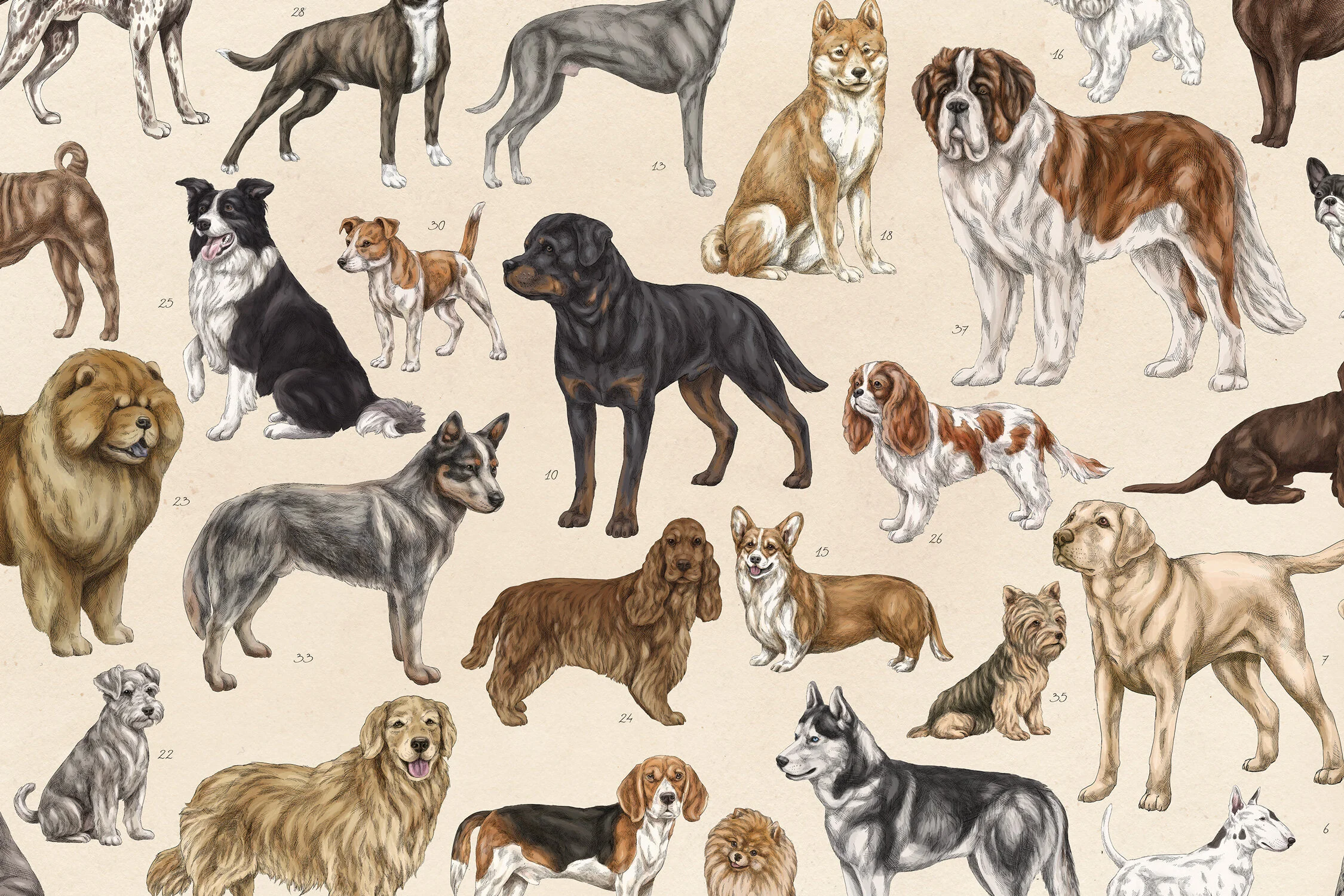 MEAall_DOGS3.jpg