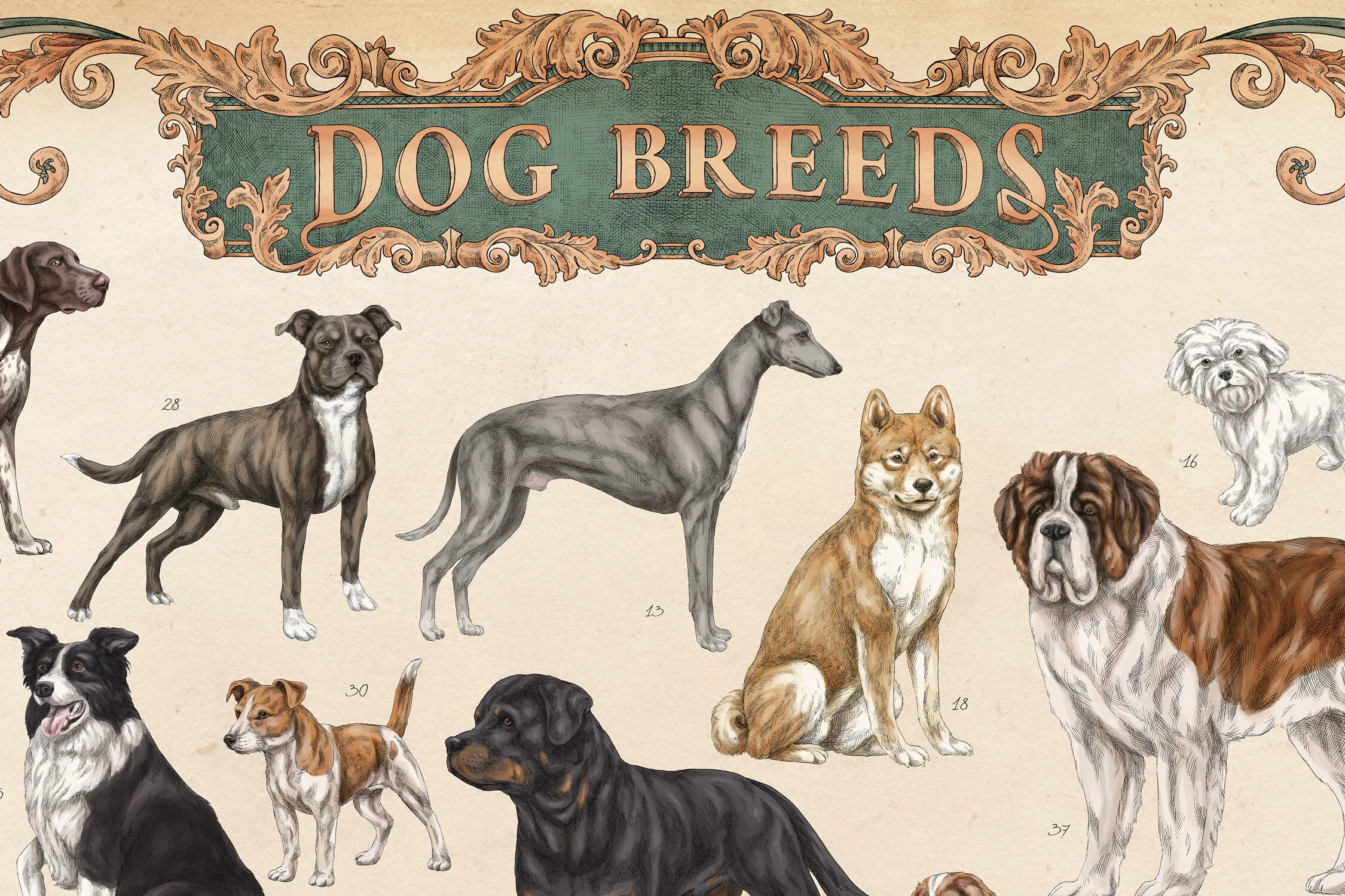MEAall_DOGS1.jpg