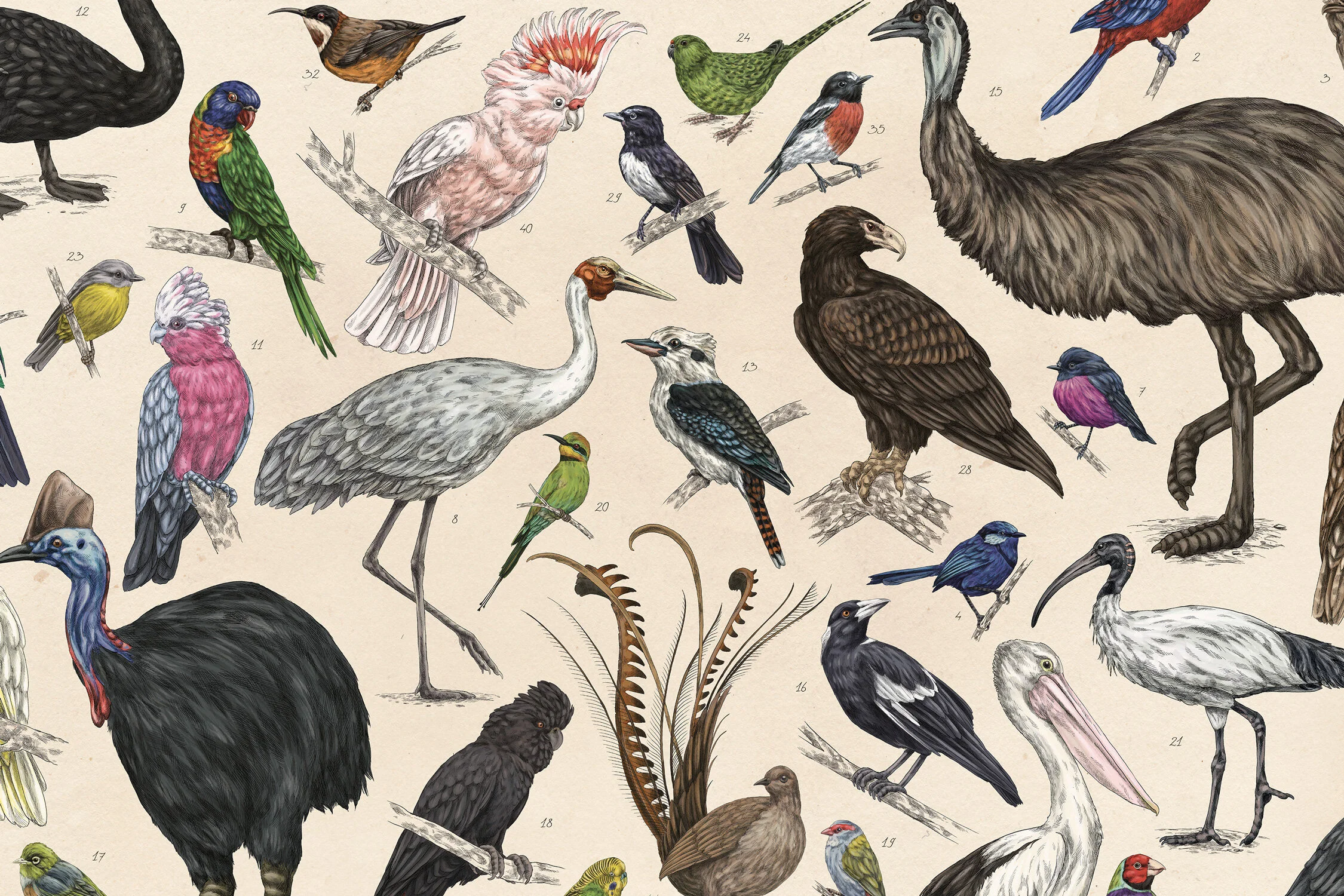 MEAall_BIRD3.jpg