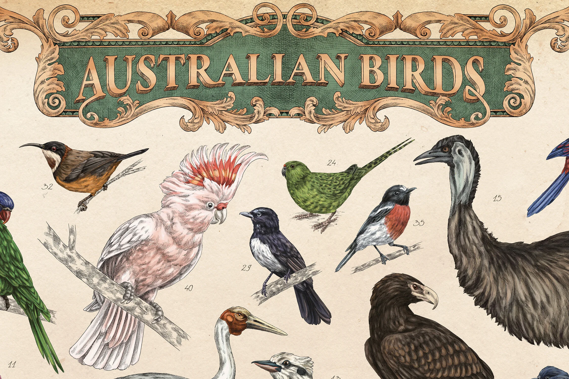 MEAall_BIRD1.jpg