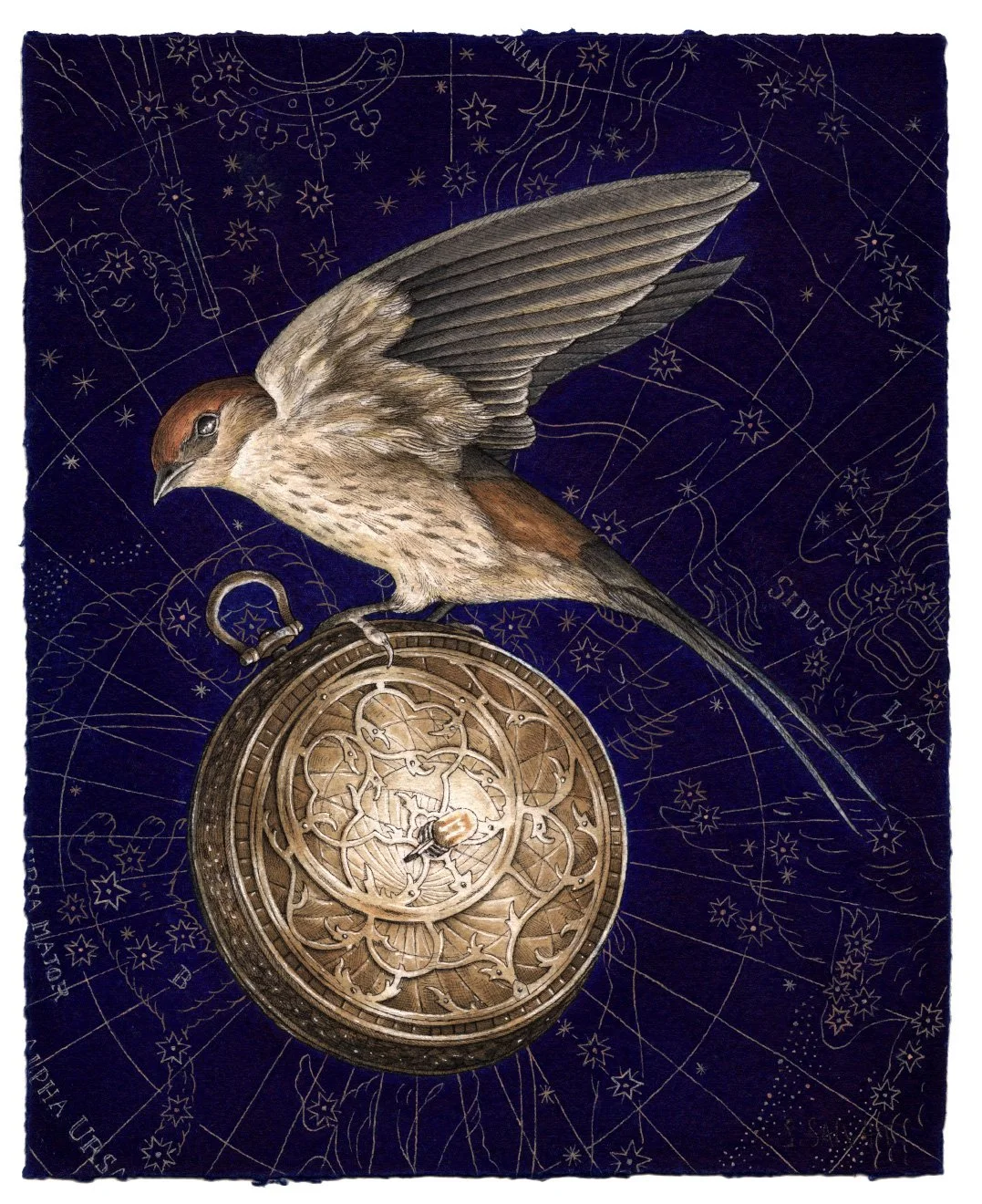 ASTROLABE3-72DPI_RETOUCH.jpg
