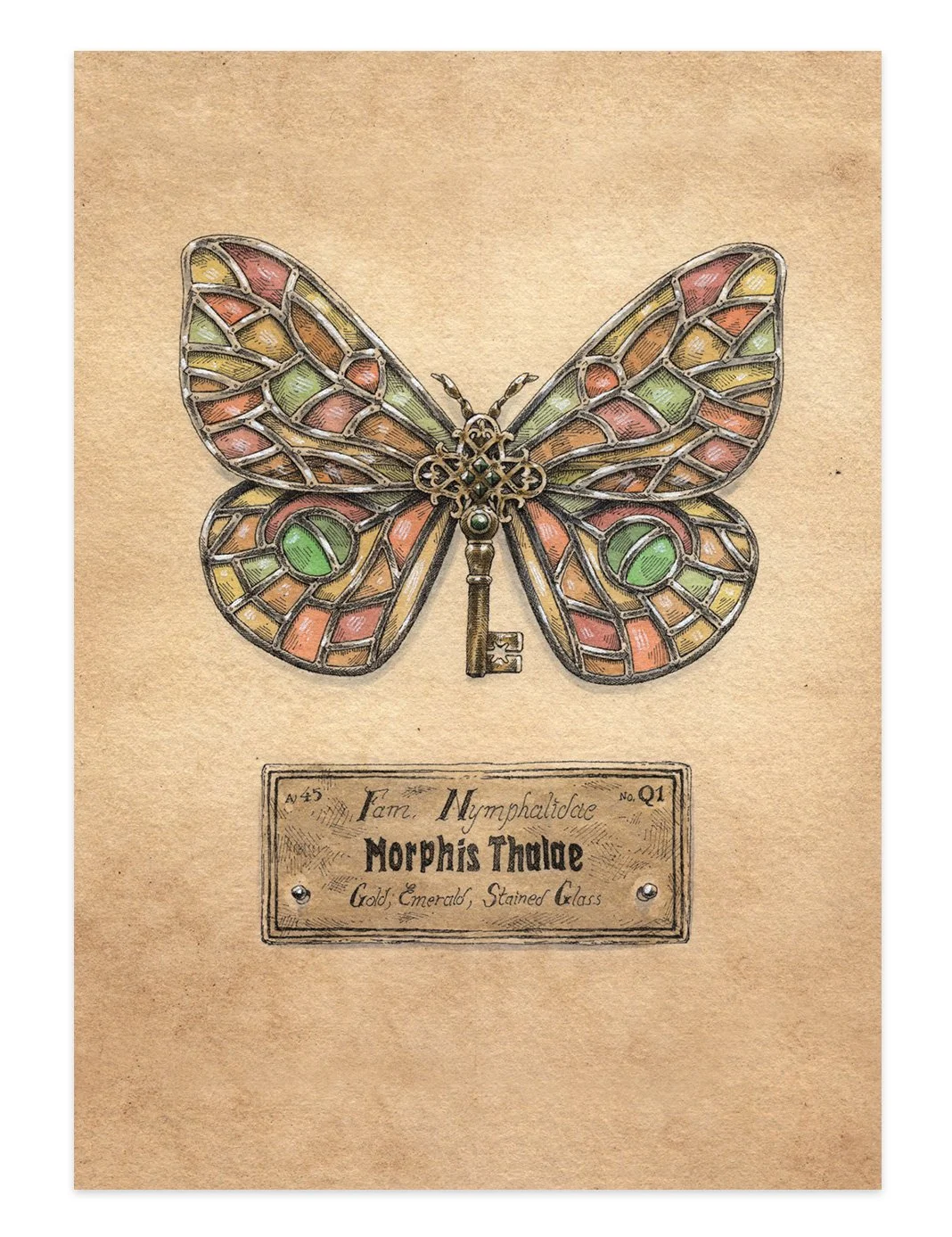 Nymphalidae-CARTE_MEA3.jpg
