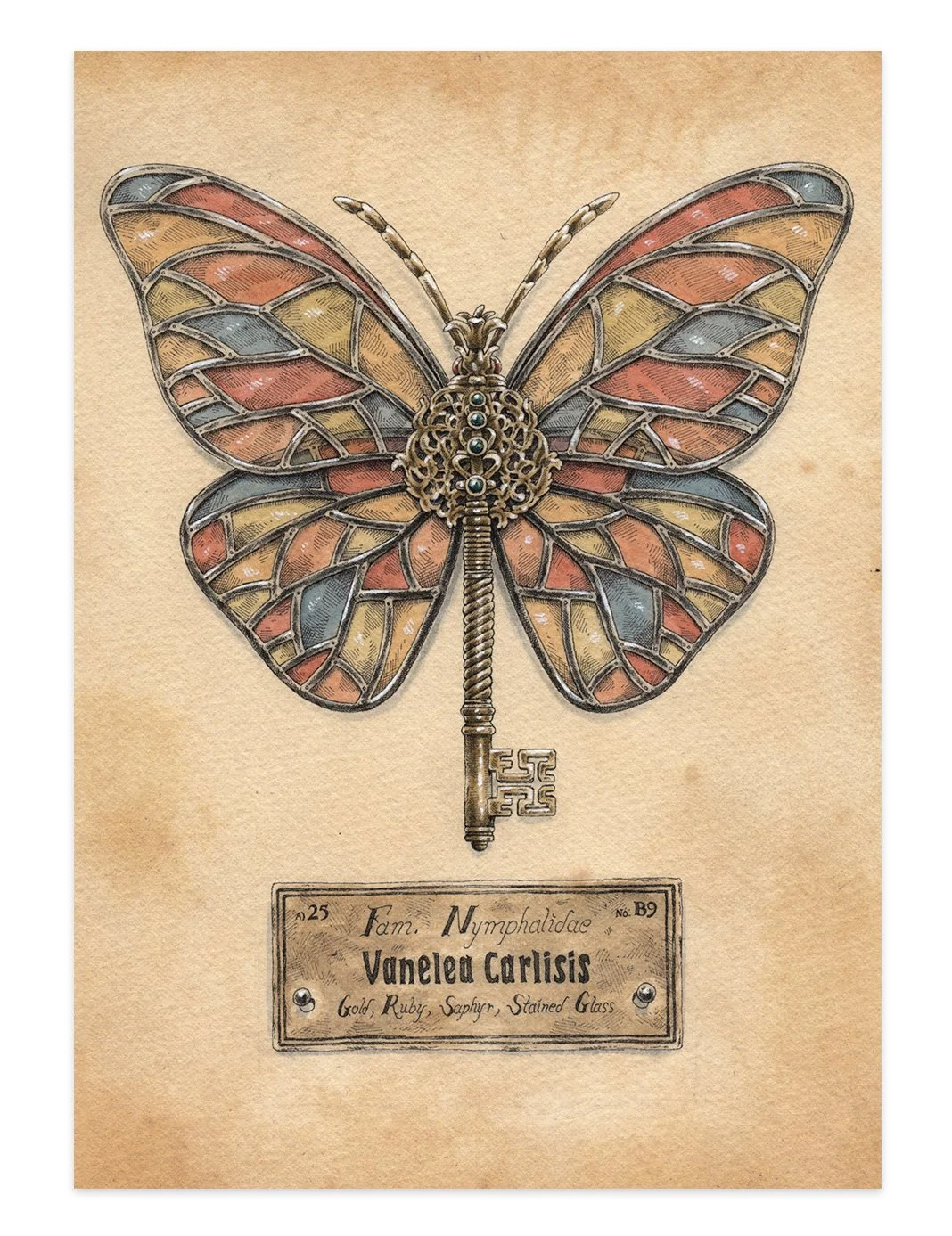 Nymphalidae-CARTE_MEA2.jpg