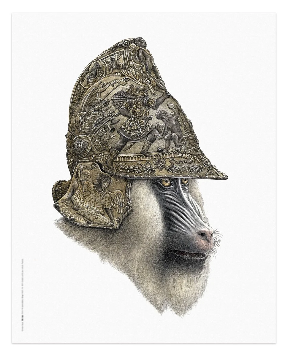 WARAPE-50x40-MEA.jpg