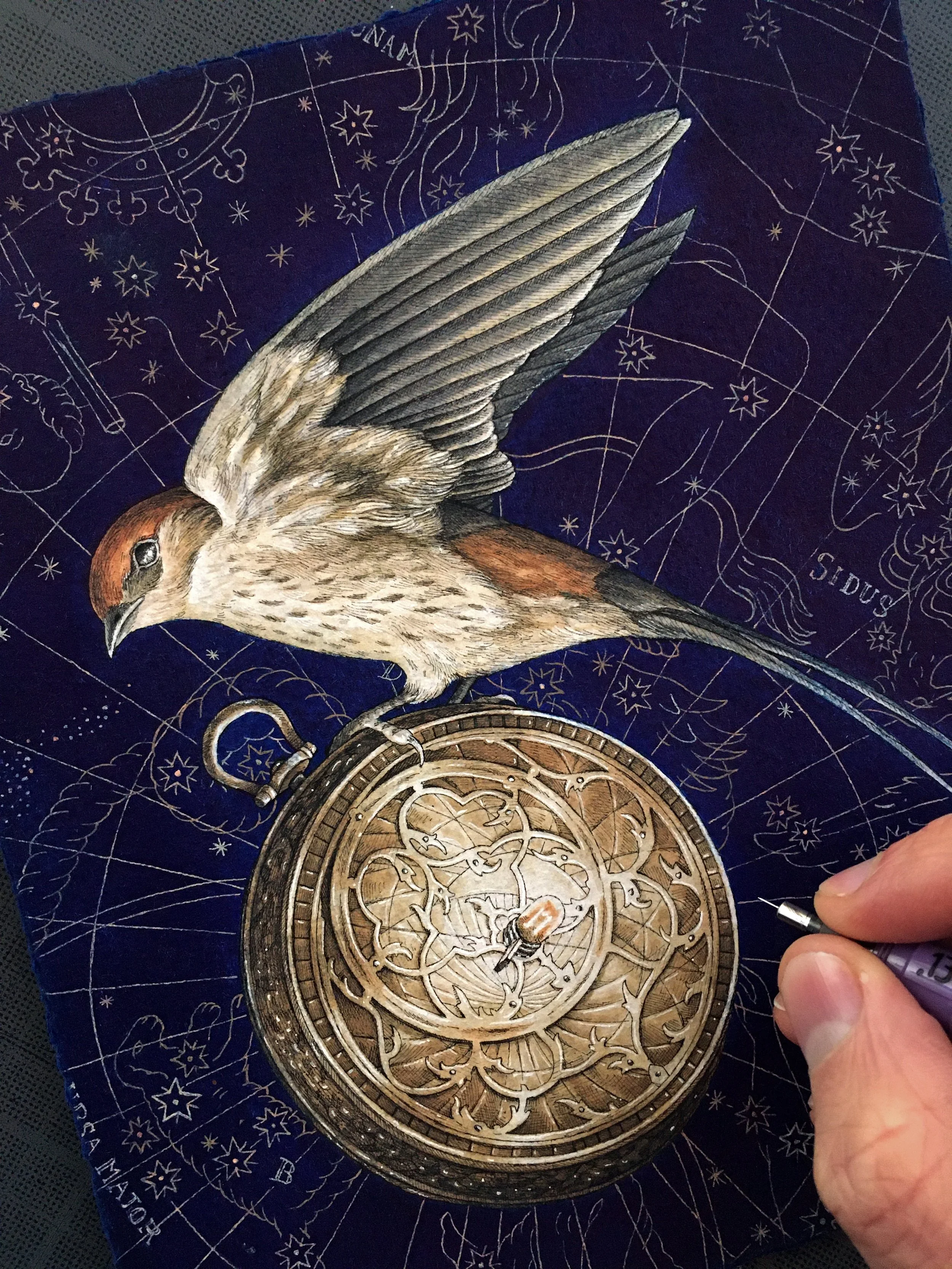 Astrolabe 3