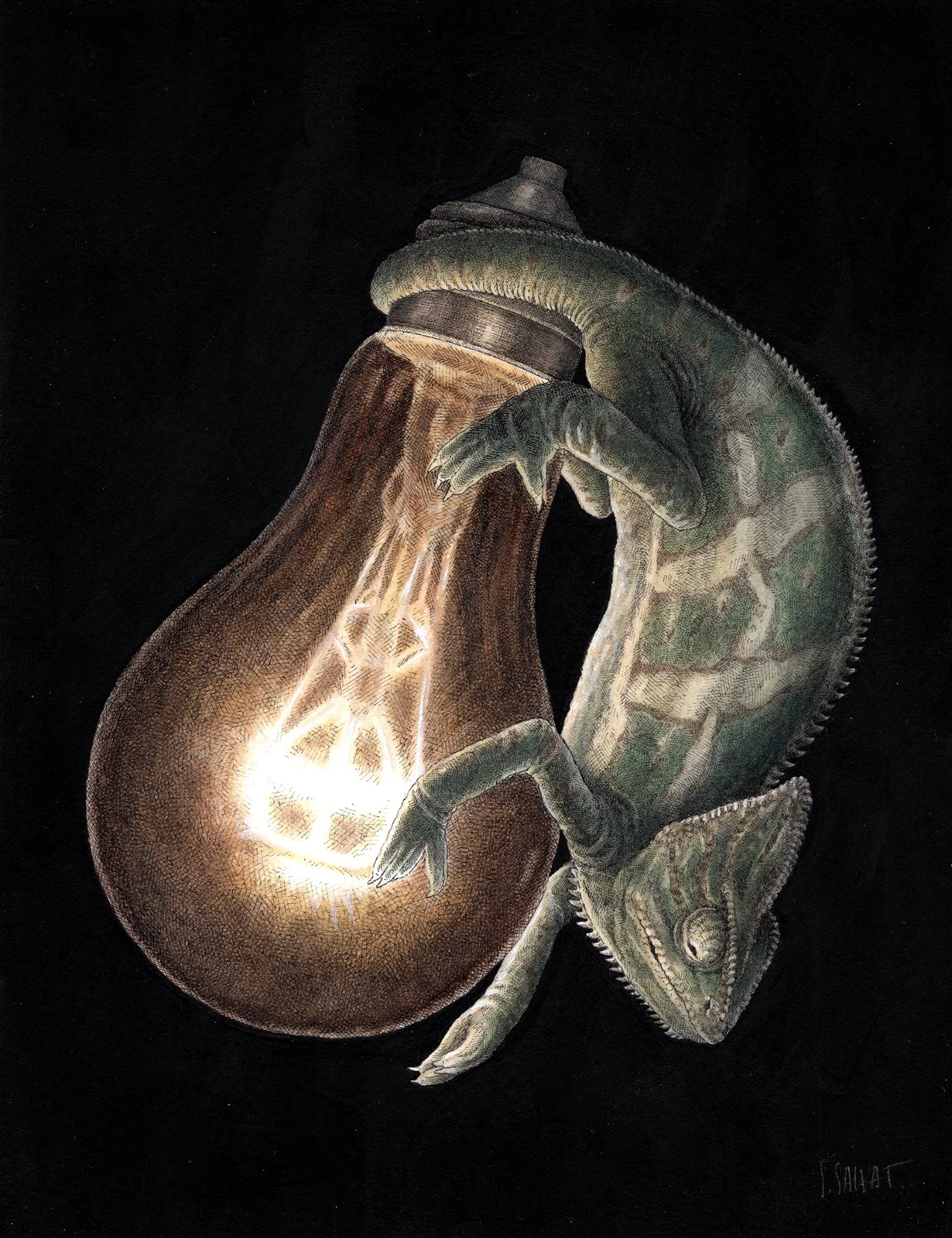 Ampoule.jpg