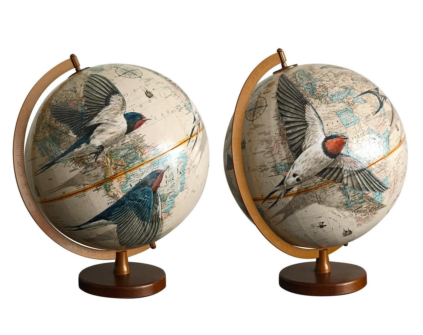 4 esp&egrave;ces d&rsquo;oiseaux migrateurs en voyage. Chacune sur son propre globe authentique, un travail &agrave; l&rsquo;acrylique et &agrave; l&rsquo;encre de Chine. Merci aux collectionneurs pour le soutient sur ce projet 🌐 #globe #migratorybi