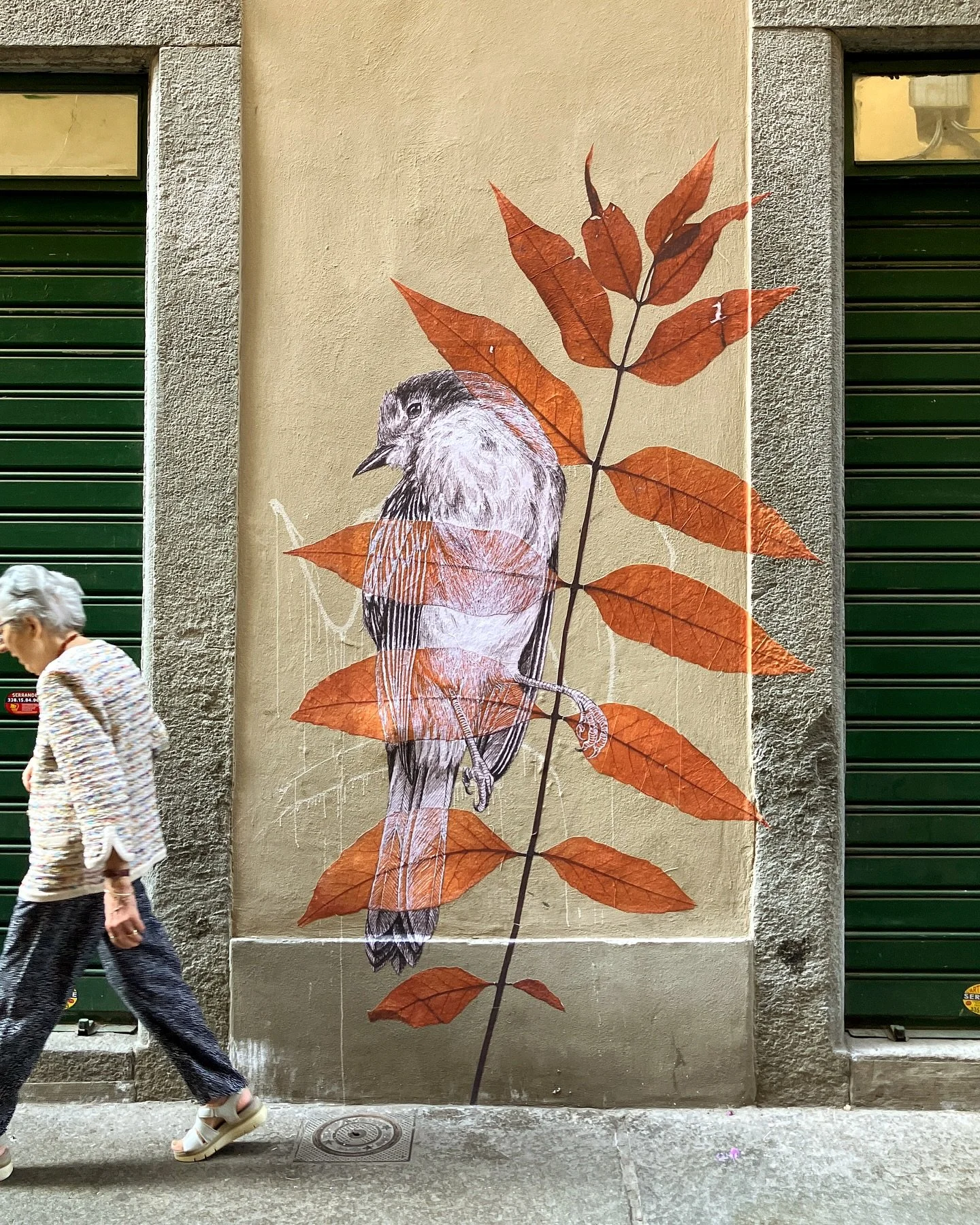 Qui dit petit week-end &agrave; l&rsquo;&eacute;tranger dit nouveau collage touristique - &Agrave; votre avis, c&rsquo;est o&ugrave; ? Petit Indice dans la derni&egrave;re vid&eacute;o
#herbarium #urbanart #pasteup