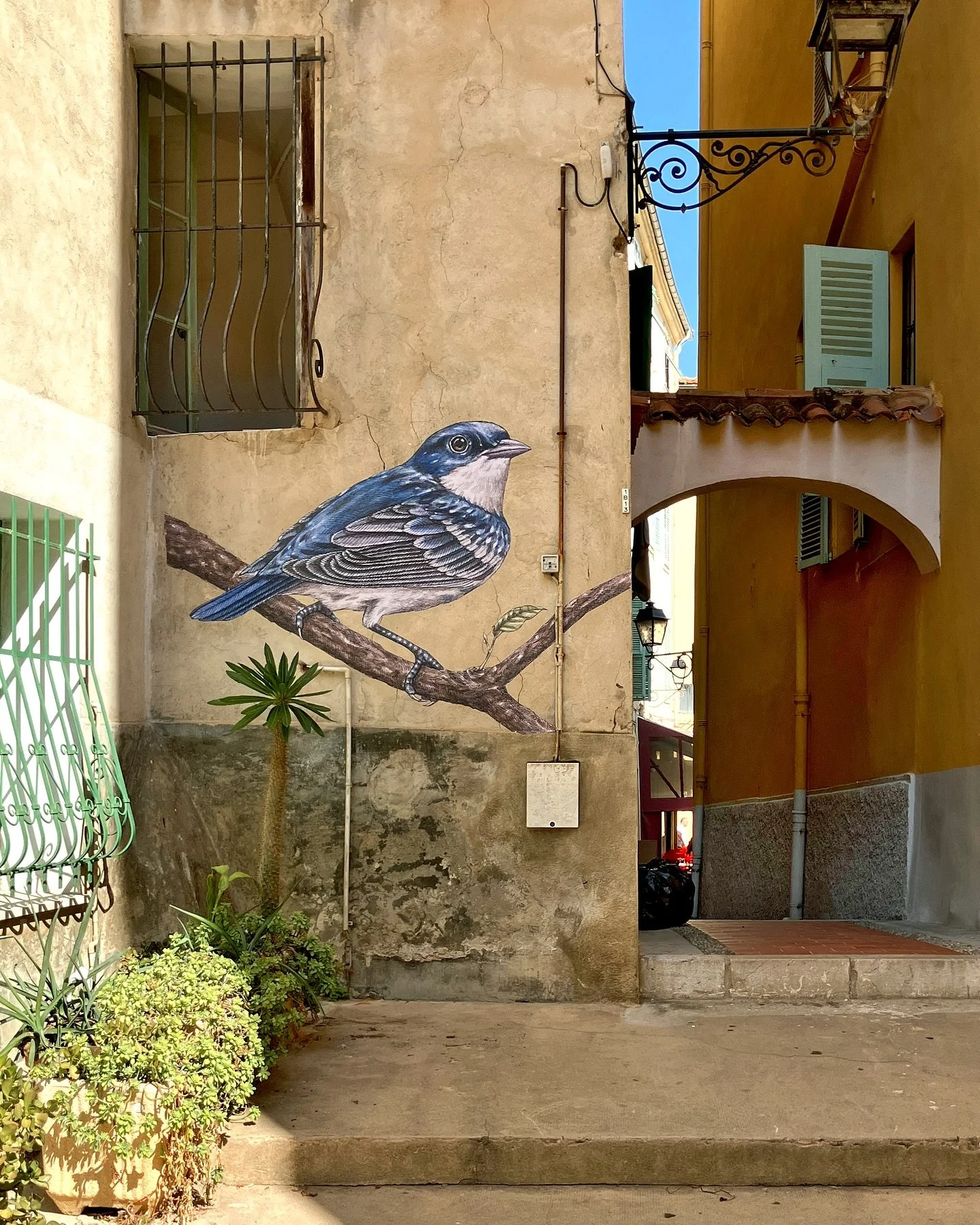 De passage au nid &ndash; j&rsquo;ai profit&eacute; d&rsquo;une petite pause dans les projets estivaux pour faire un tour &agrave; Menton, ma ville de naissance, et rendre visite &agrave; ma famille.

C&rsquo;&eacute;tait aussi l&rsquo;occasion d&rsq