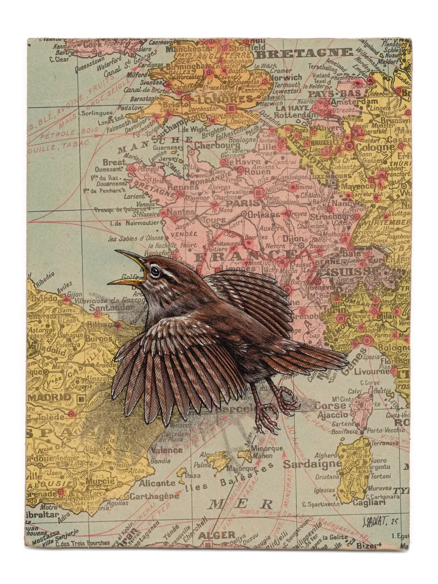 Petits mais plein d&rsquo;&eacute;nergie ! Deux &oelig;uvres format XS qui mettent &agrave; l&rsquo;honneur deux oiseaux parmi les plus riquiqui que l&rsquo;on peut trouver en France et alentours. Entre 8 et 12 cm - autant dire des vraies boules de p
