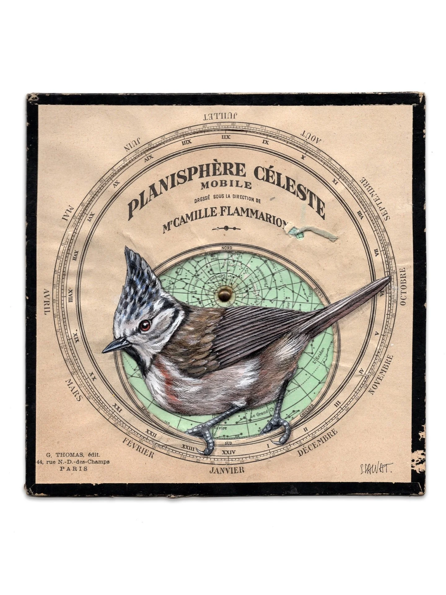 Demain est le dernier jour pour d&eacute;couvrir l&rsquo;expo au Havre - D&eacute;crochage des &oelig;uvres ce mercredi.
-
M&eacute;sange hupp&eacute;e sur un planisph&egrave;re celeste, Acrylique et encre de Chine sur objet de navigation authentique