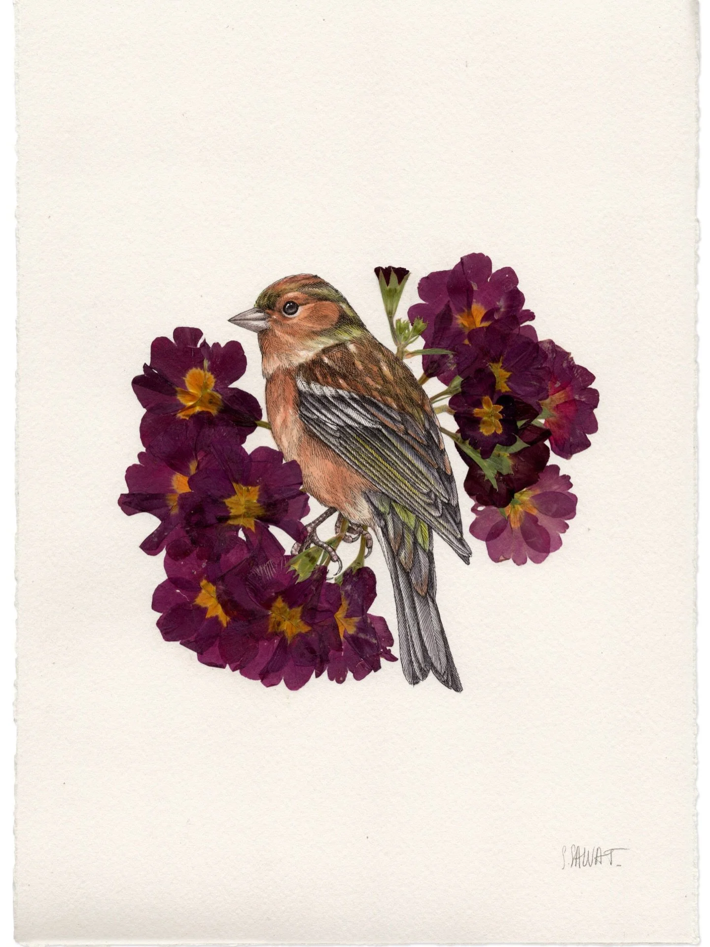 Deux bouquets de primev&egrave;res visibles au @galerielecabinetdamateur 💐
-
Aquarelle, encre de Chine et v&eacute;ritables fleurs s&eacute;ch&eacute;es sur papier Arches 300gsm