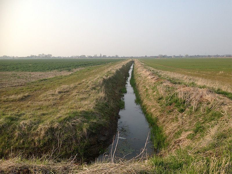 Photo : A drainage ditch within a proposed solar farm site that was surveyed for Water Voles
