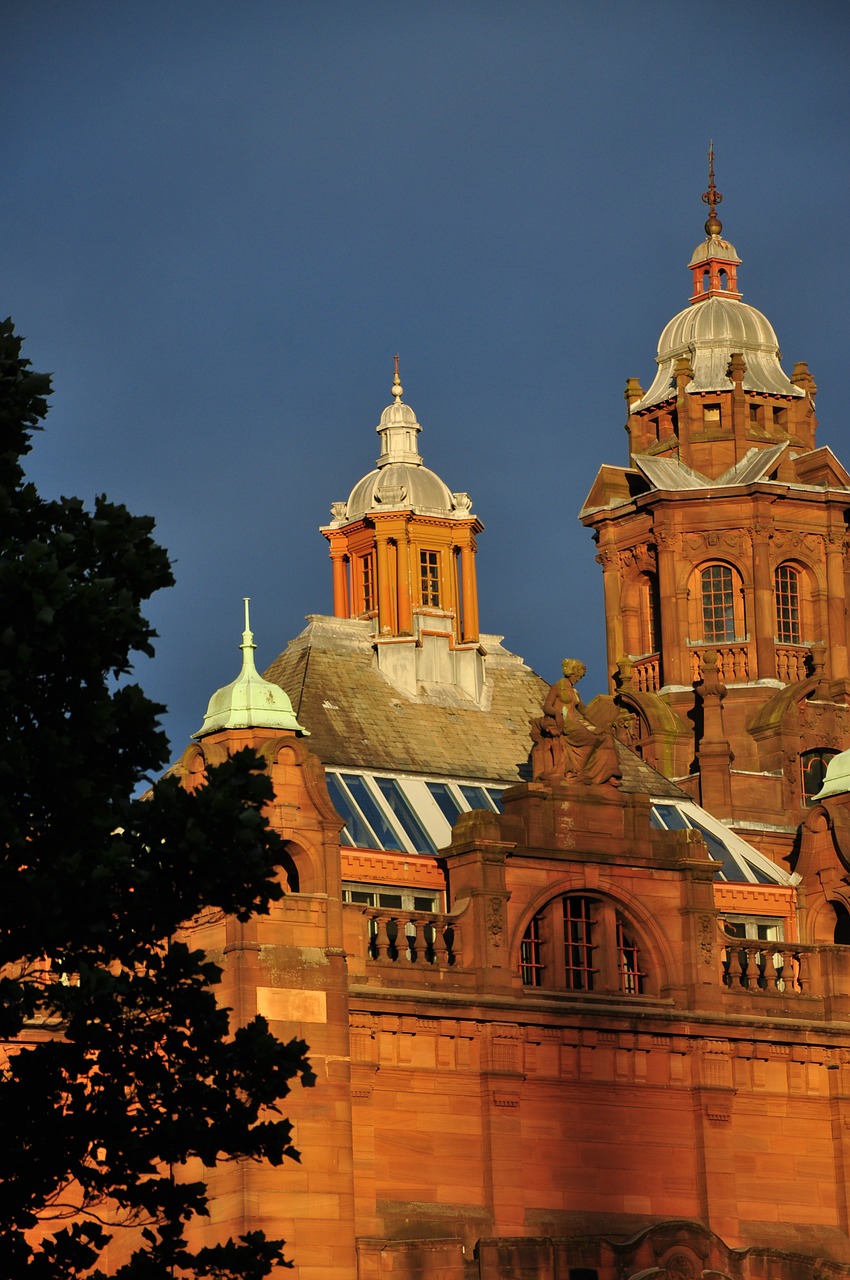 The beautiful sandstone architecture of Victorian Glasgow is home to many species including bats and swifts