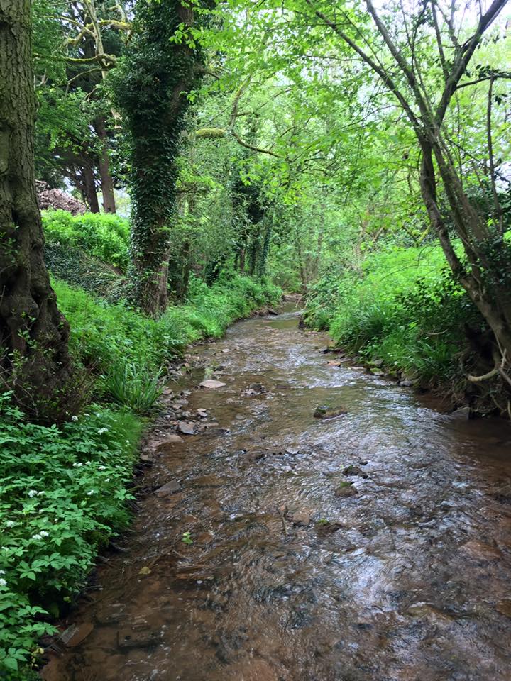 Paper Mill Brook; Otter and Water Vole surveys were completed