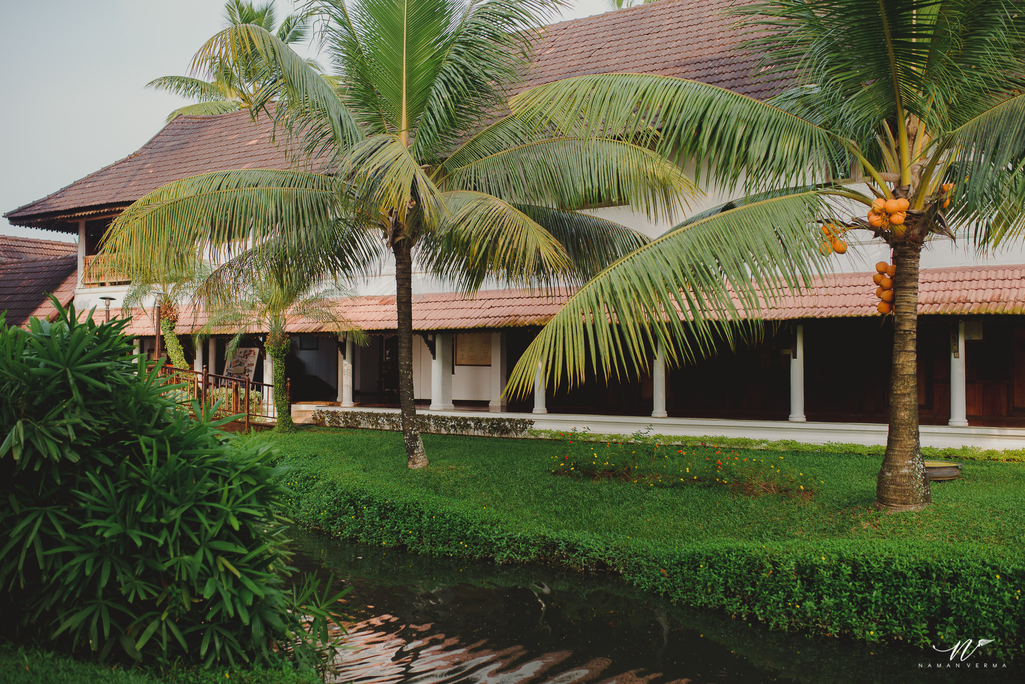 NVP_2299.jpg