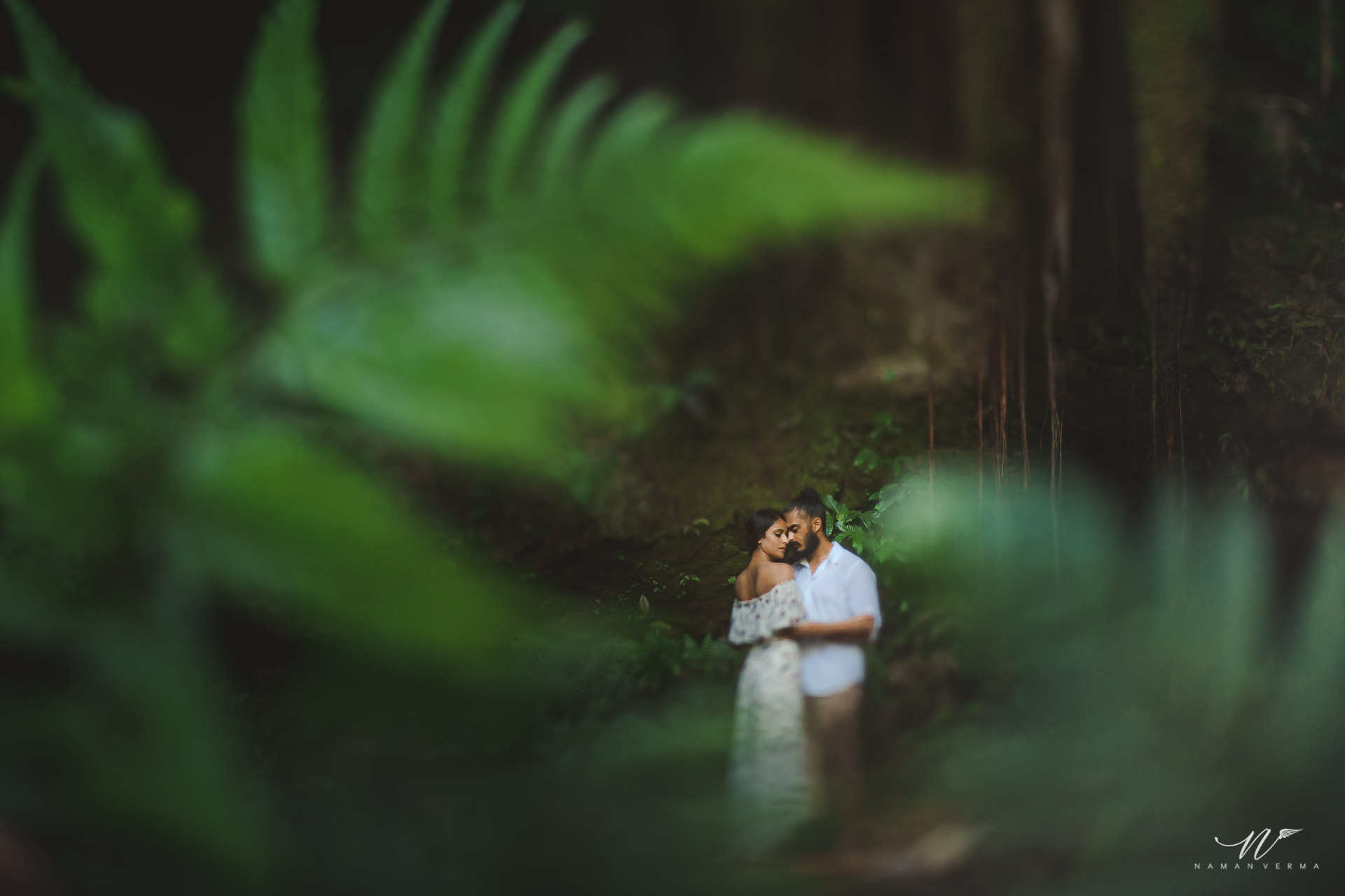 NVP_ParivaXGurraj_Prewedding_354.jpg