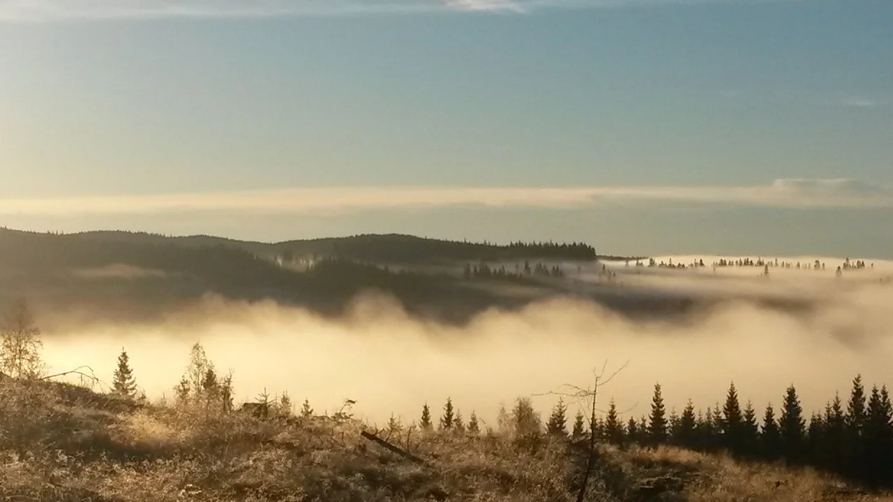 Bolig og hytte — Løvenskiold-Vækerø
