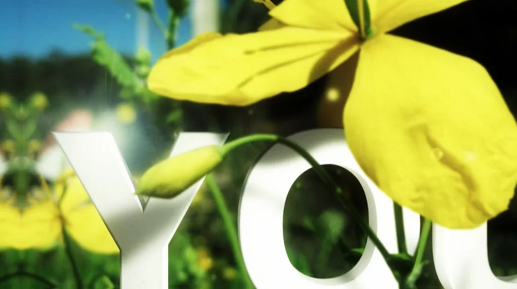 Grow Your Own Drugs IMG 2.jpg