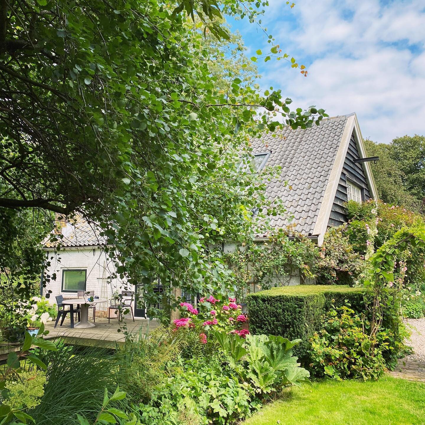 Our little hidden treasure for a few days! #netherlands