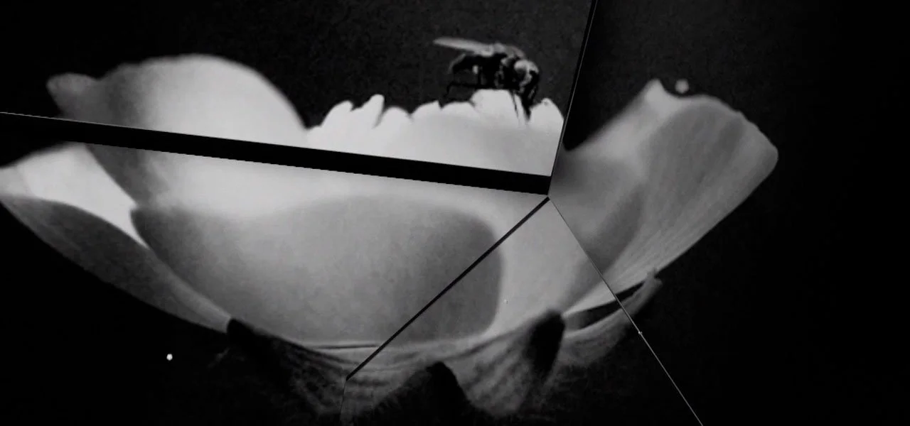 shattered_matter 4.jpg