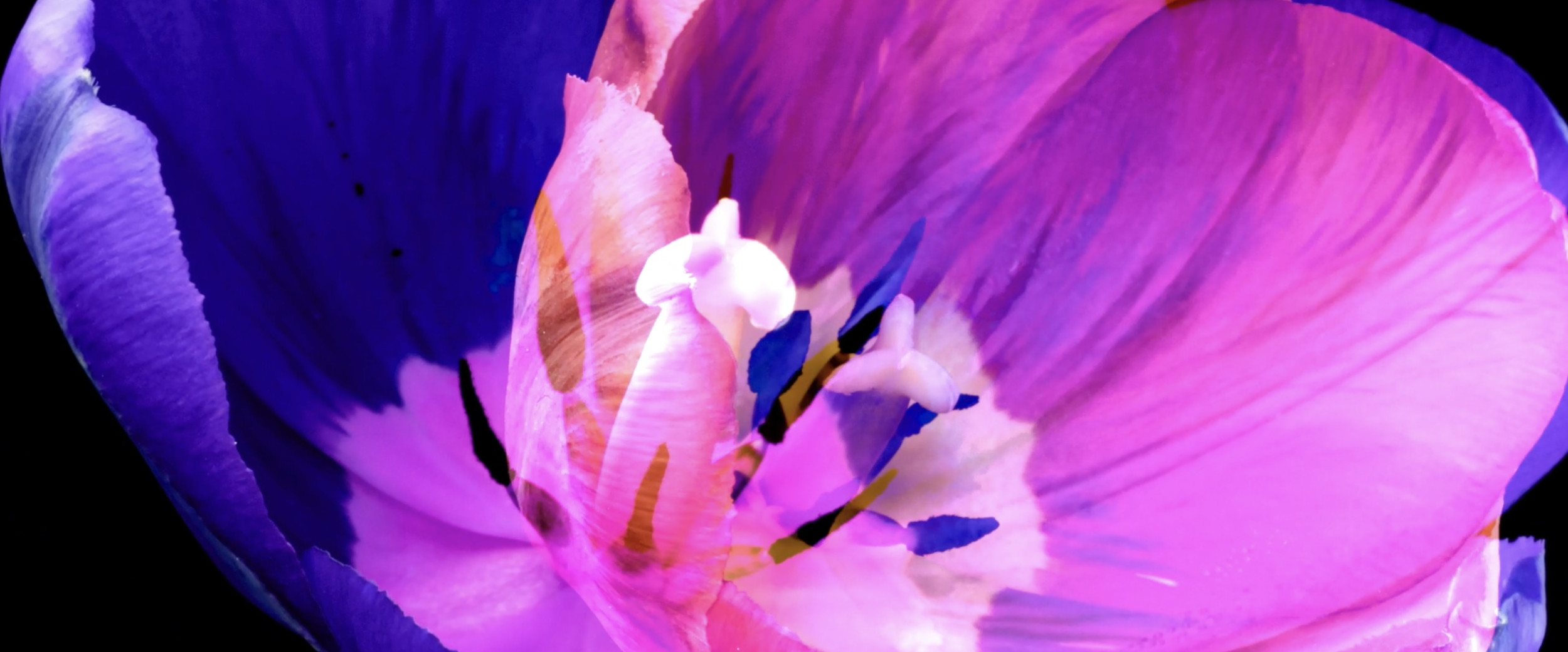 Screenshot 2026-04-04 at 23.36.32.png