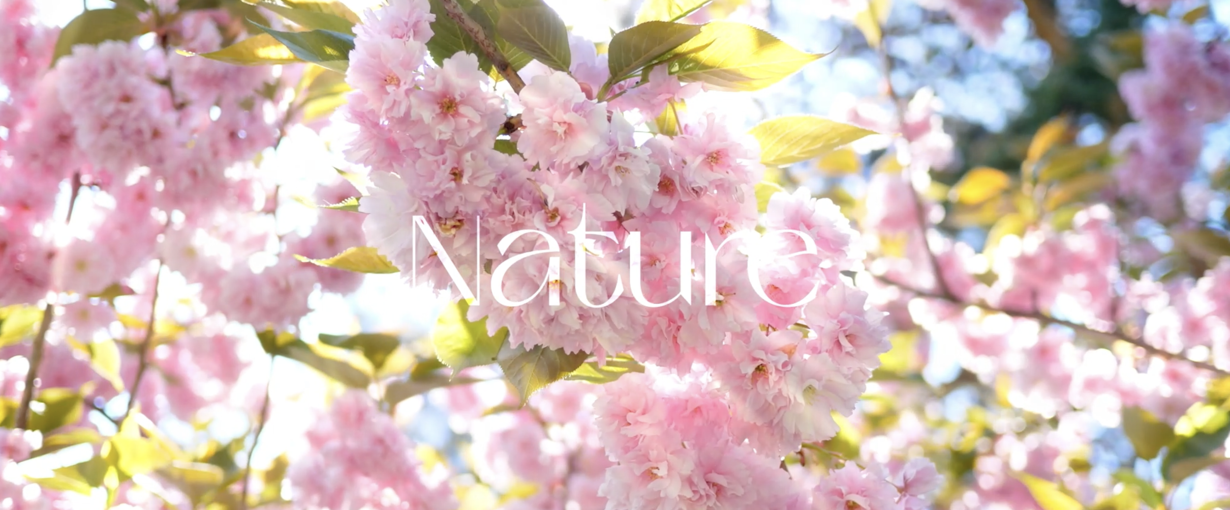 Screenshot 2026-04-04 at 23.39.12.png