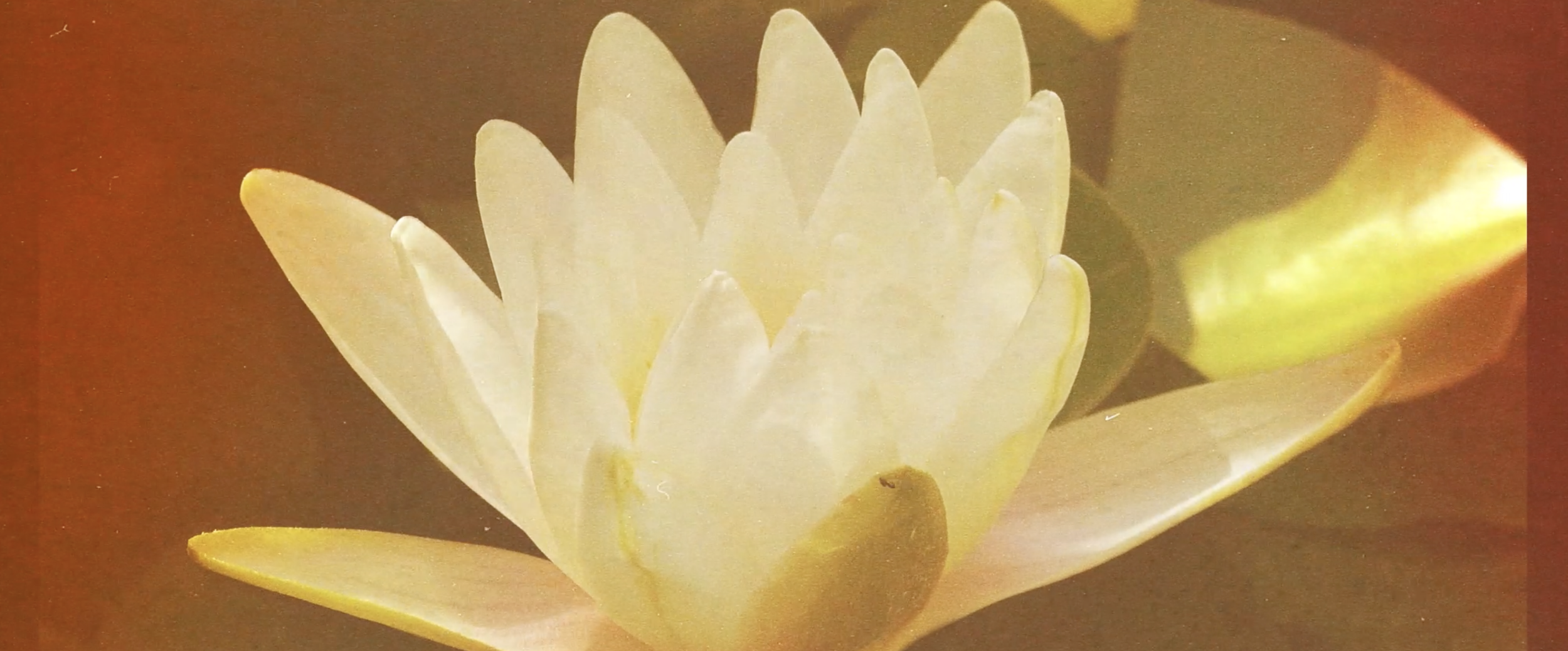 Screenshot 2026-04-04 at 23.38.19.png