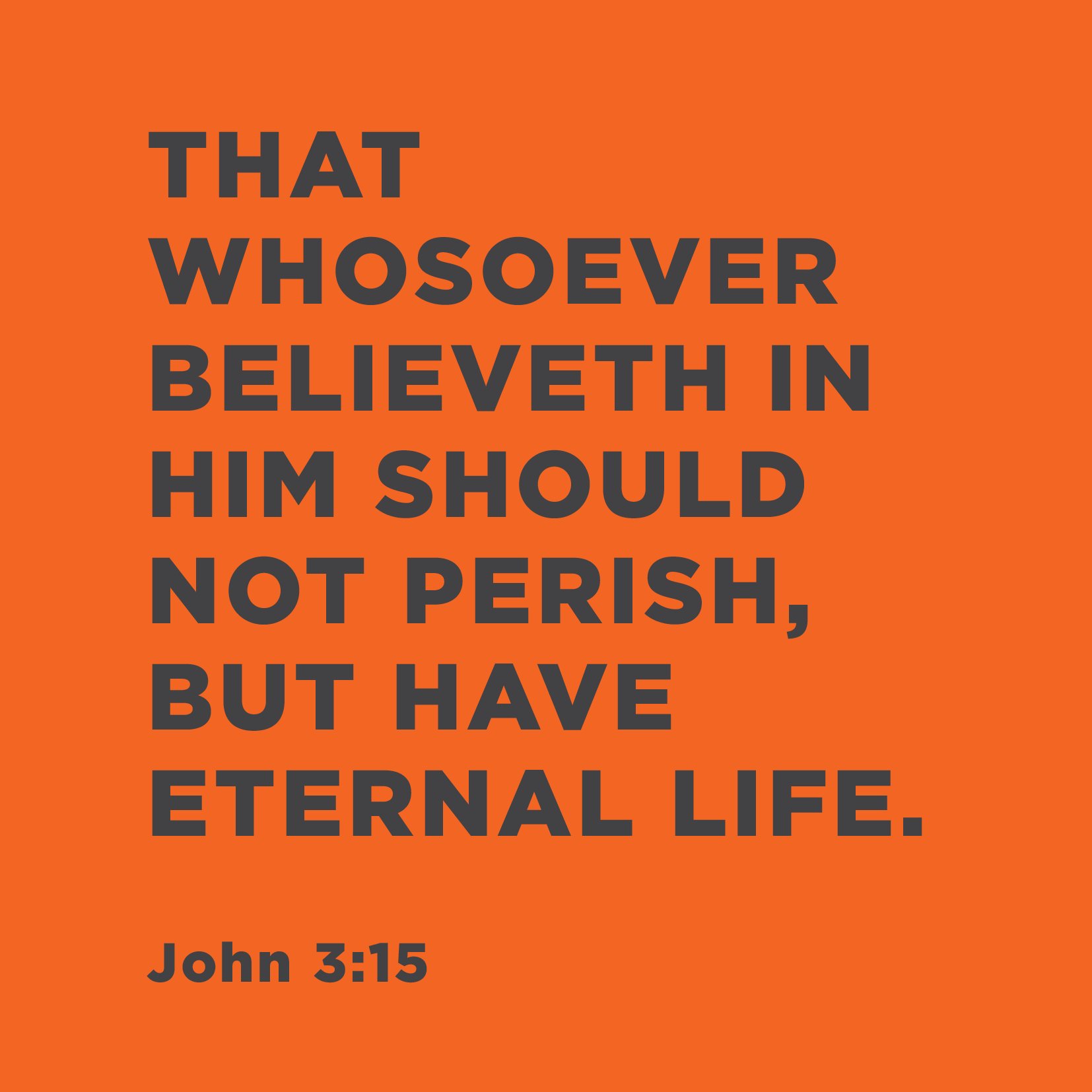 Bible_008.jpg
