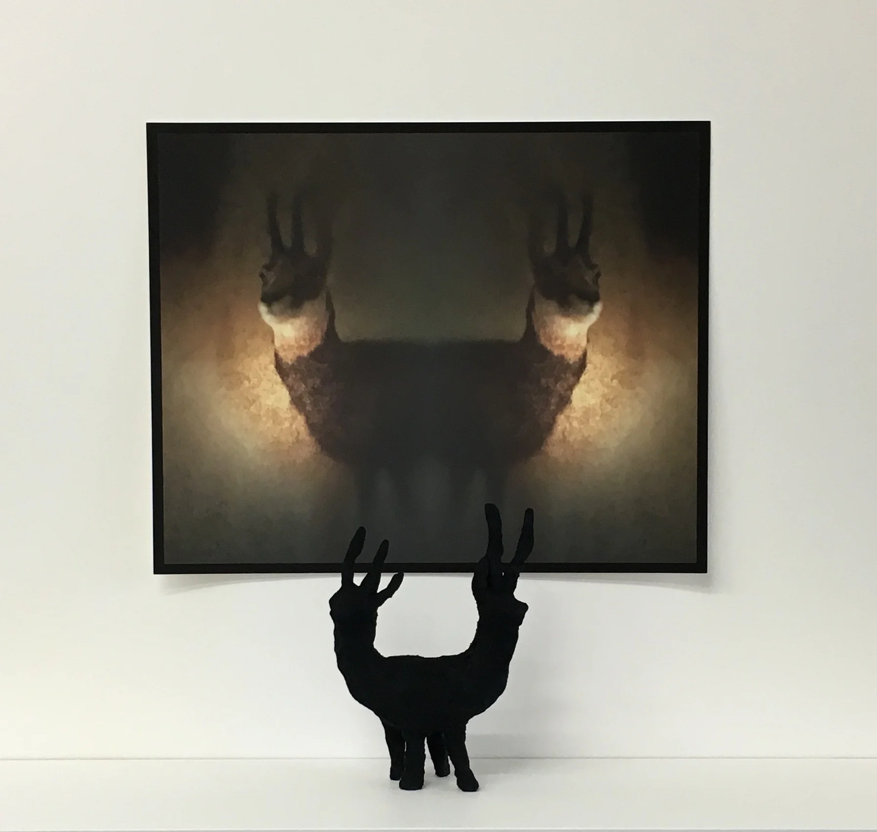 Antelope Two Ways, 2016, photographic image on german etching paper, 40 cm x 54 cm, raku clay, flocking.